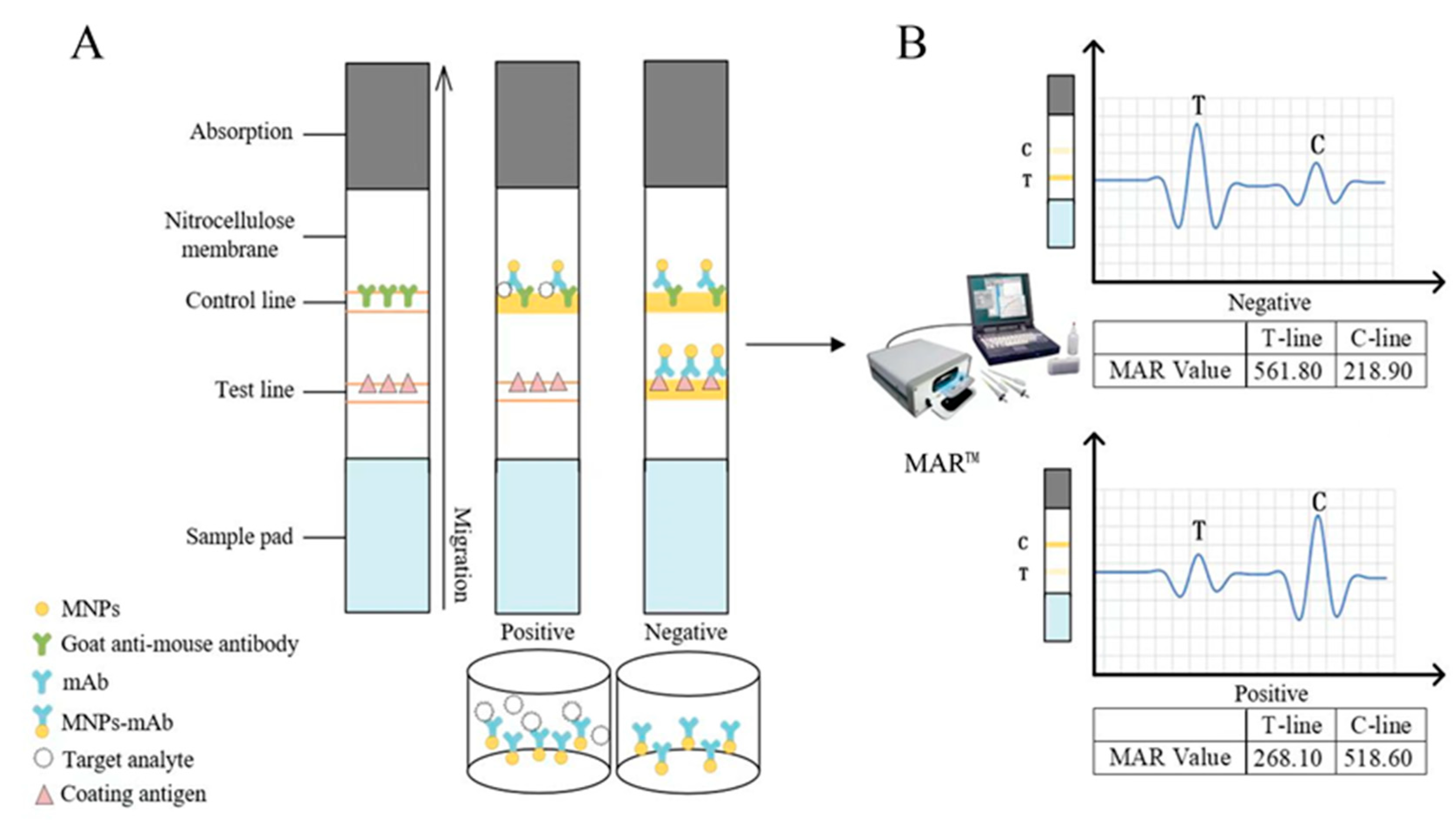 Biosensors 14 00023 g001