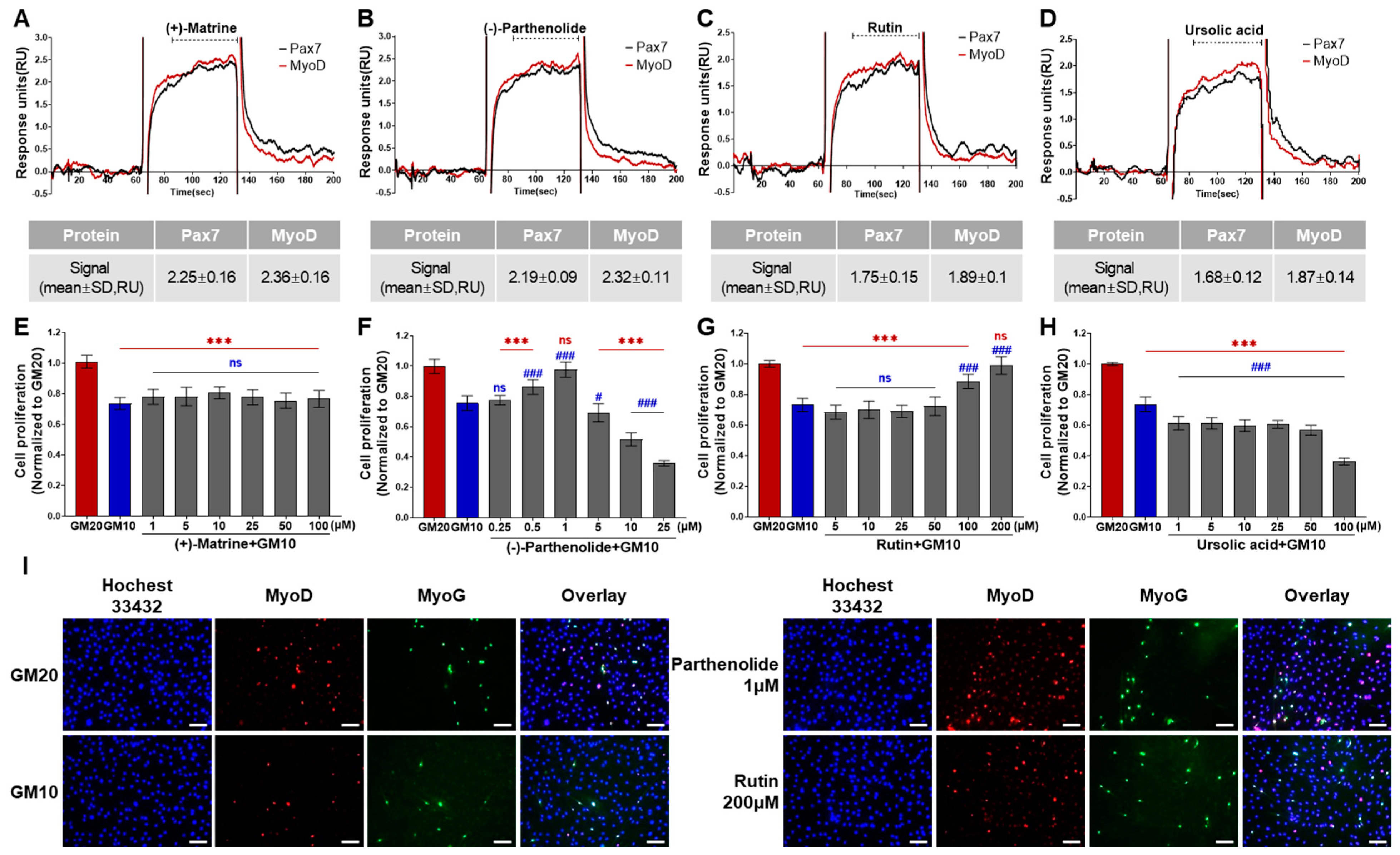 Biosensors 14 00024 g004
