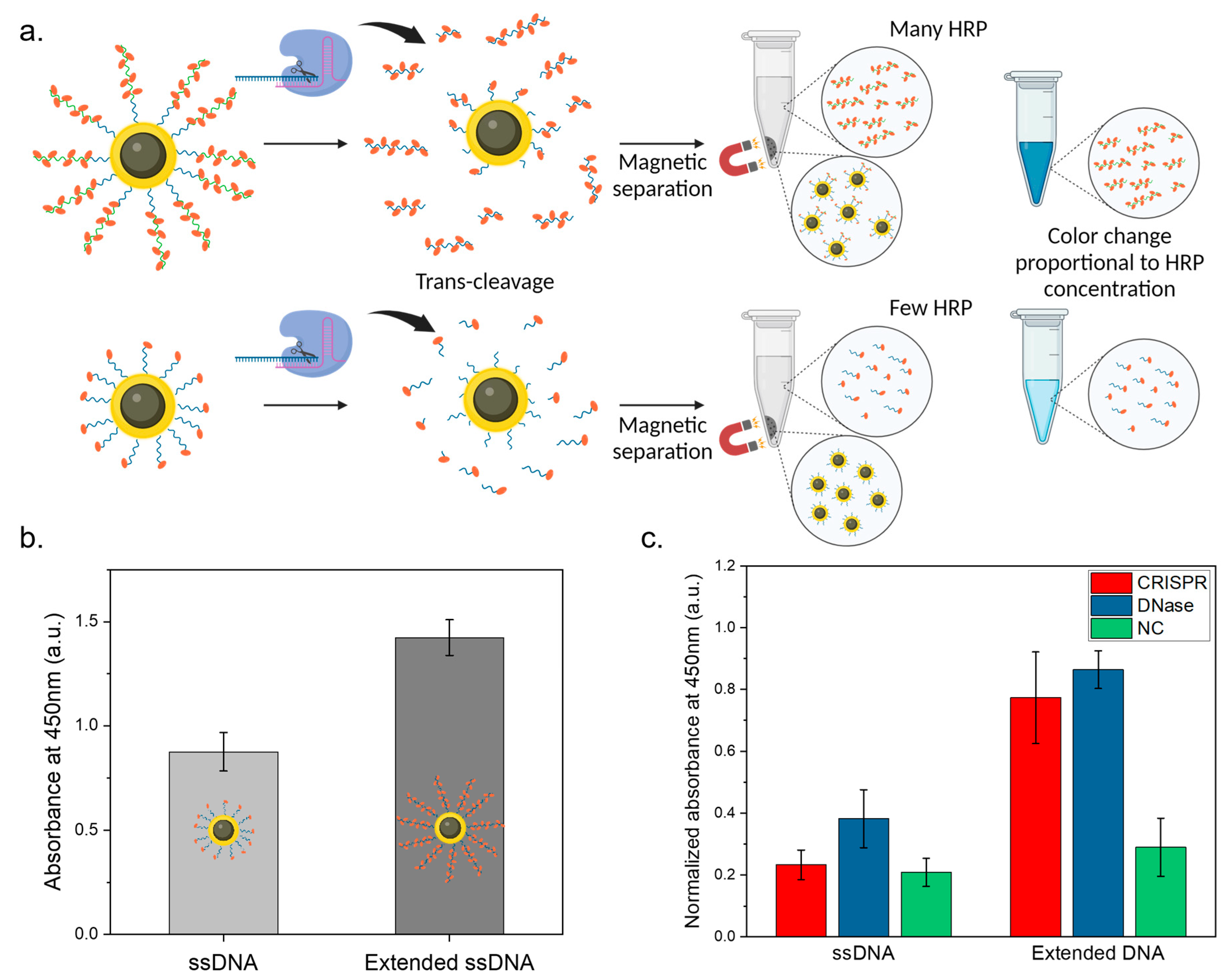 Biosensors 14 00026 g003