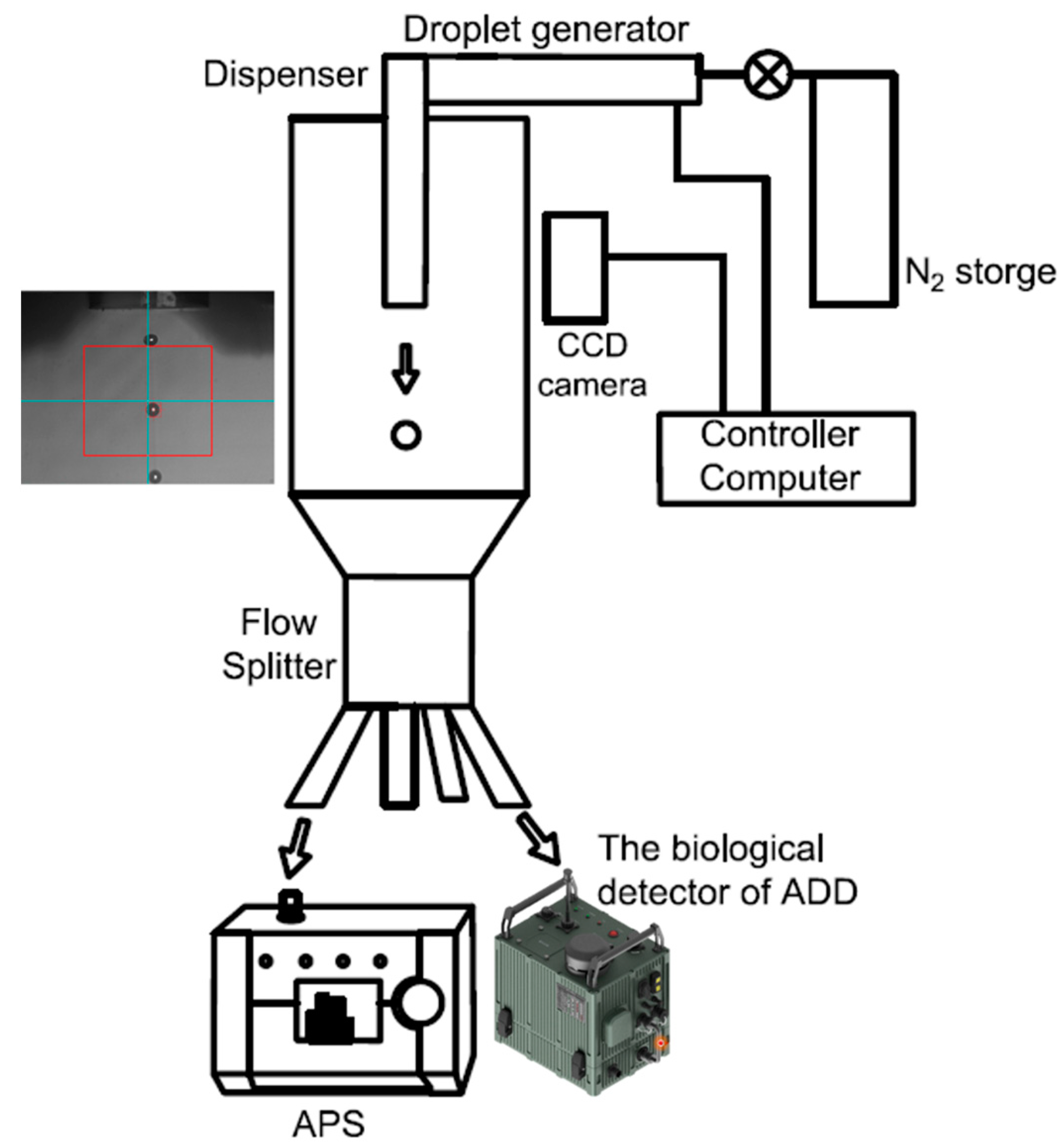 Biosensors 14 00027 g001 Biosensors 14 00027 g001