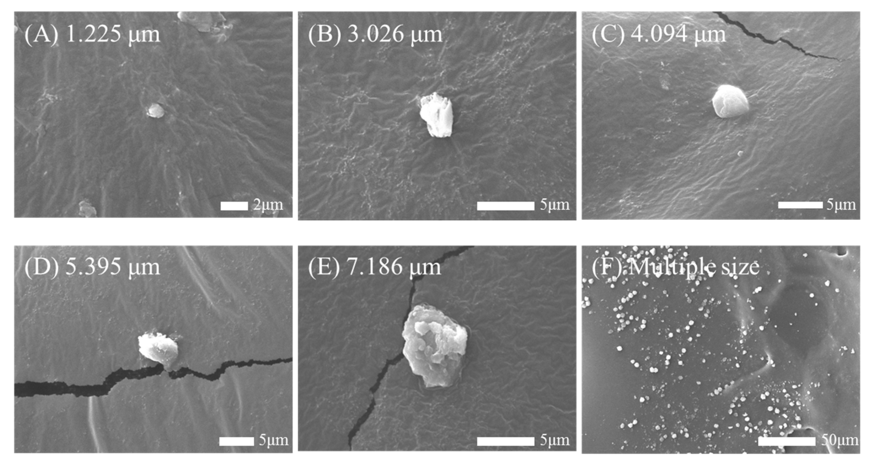 Biosensors 14 00027 g003 Biosensors 14 00027 g003