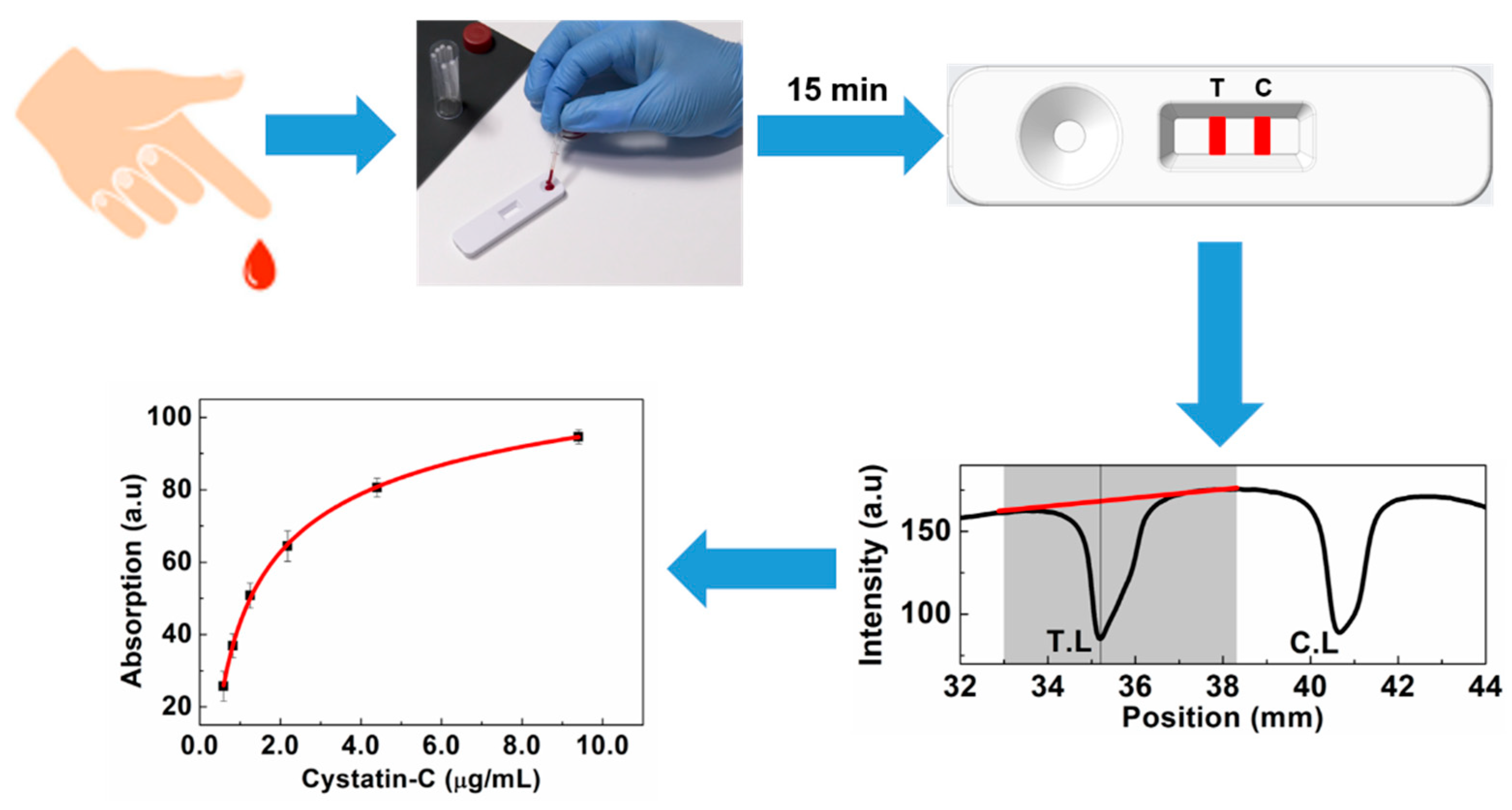 Biosensors 14 00030 g001