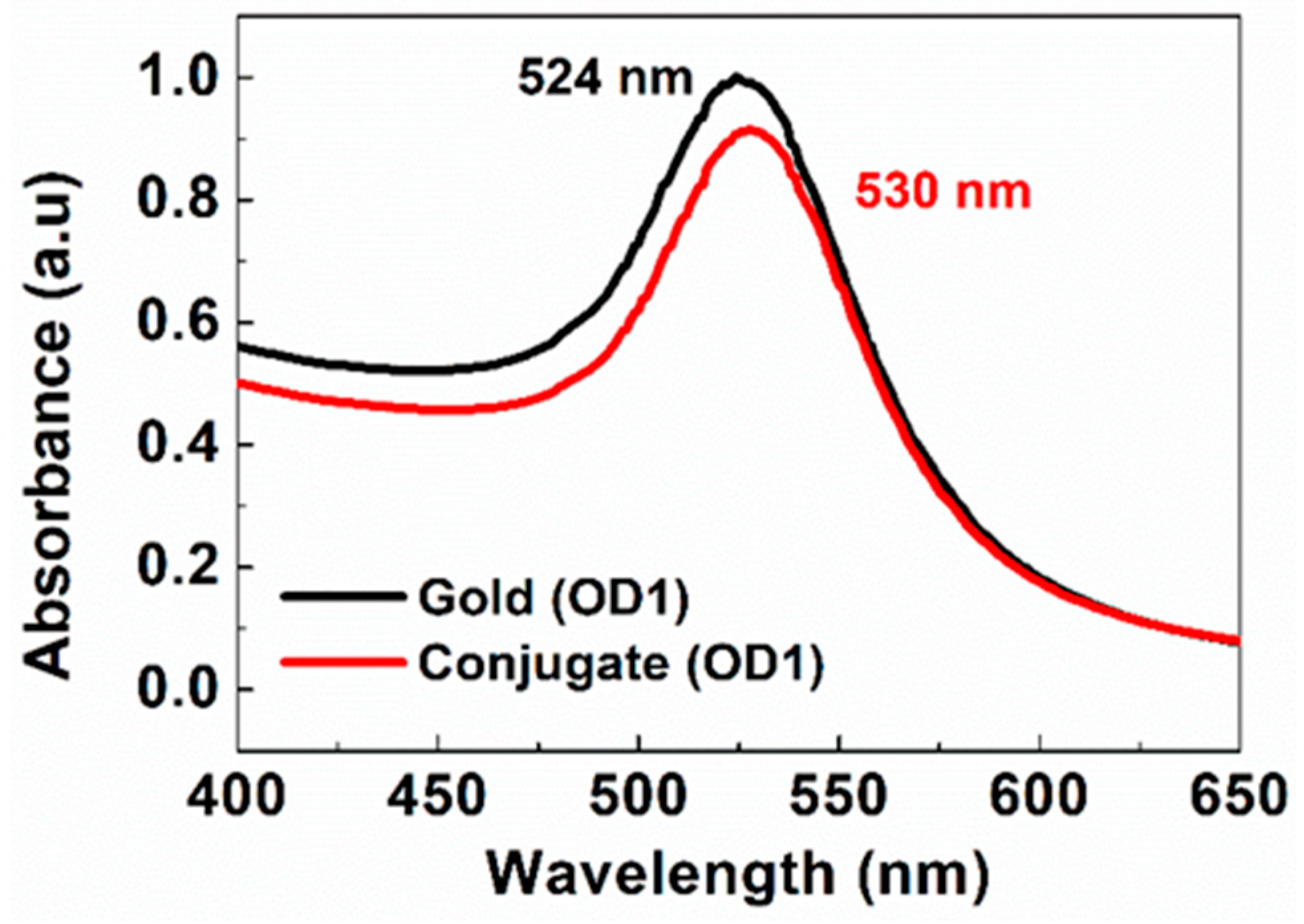 Biosensors 14 00030 g002