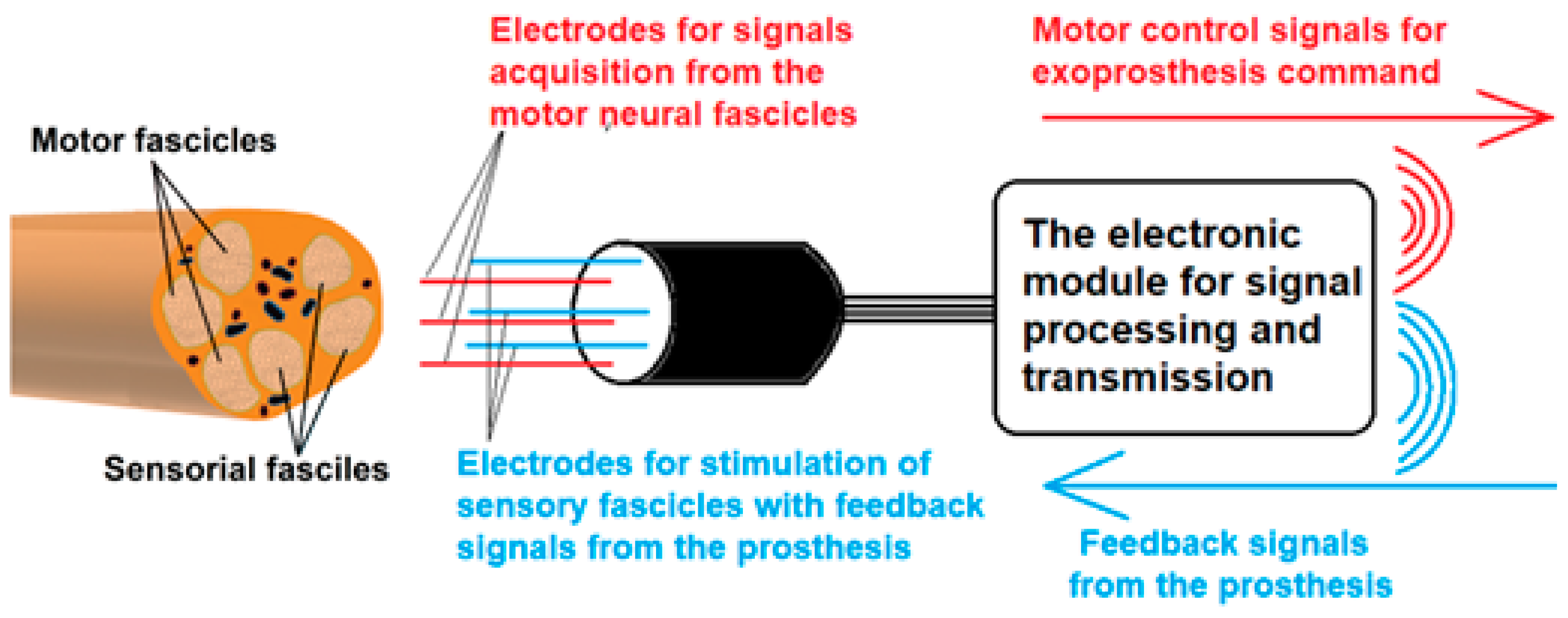 Biosensors 14 00031 g001