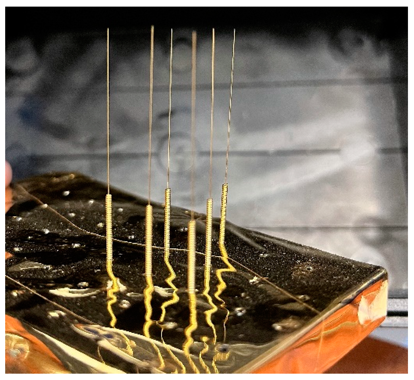 Biosensors 14 00031 g005