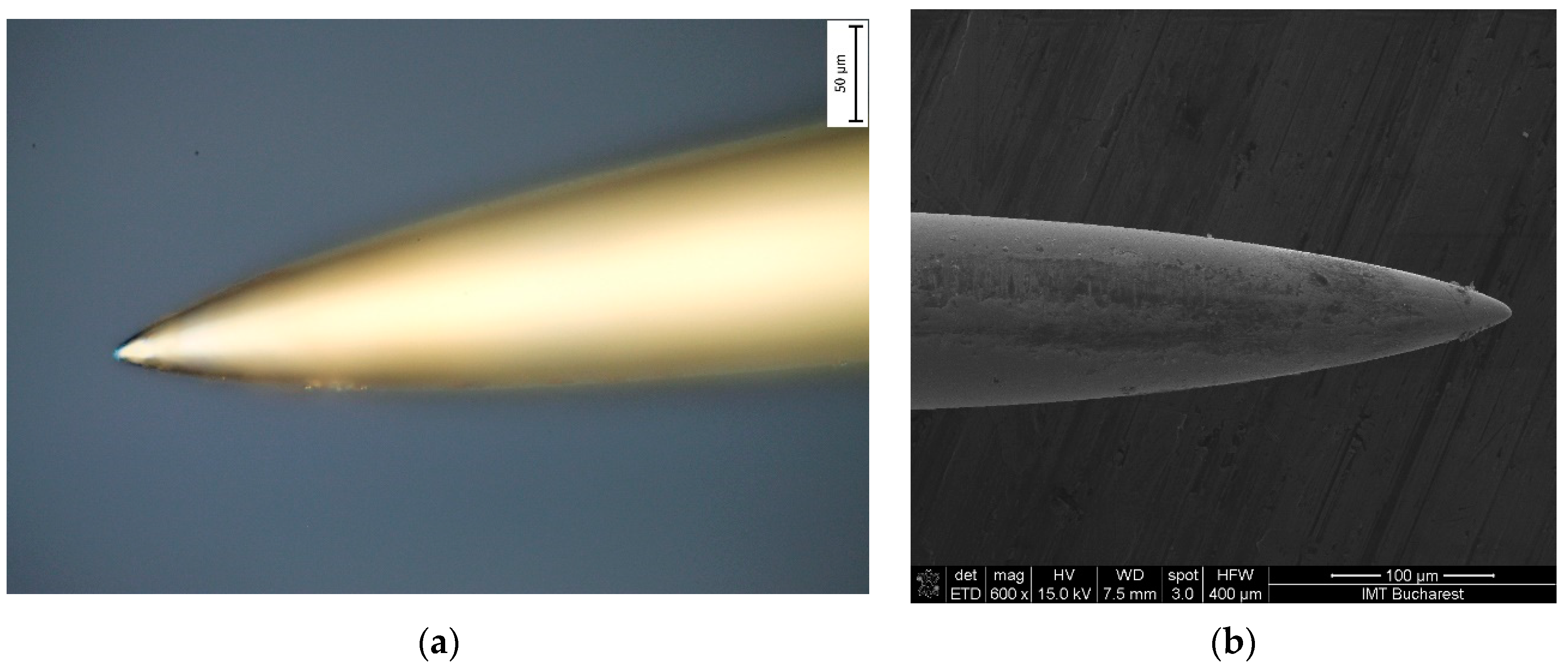 Biosensors 14 00031 g006