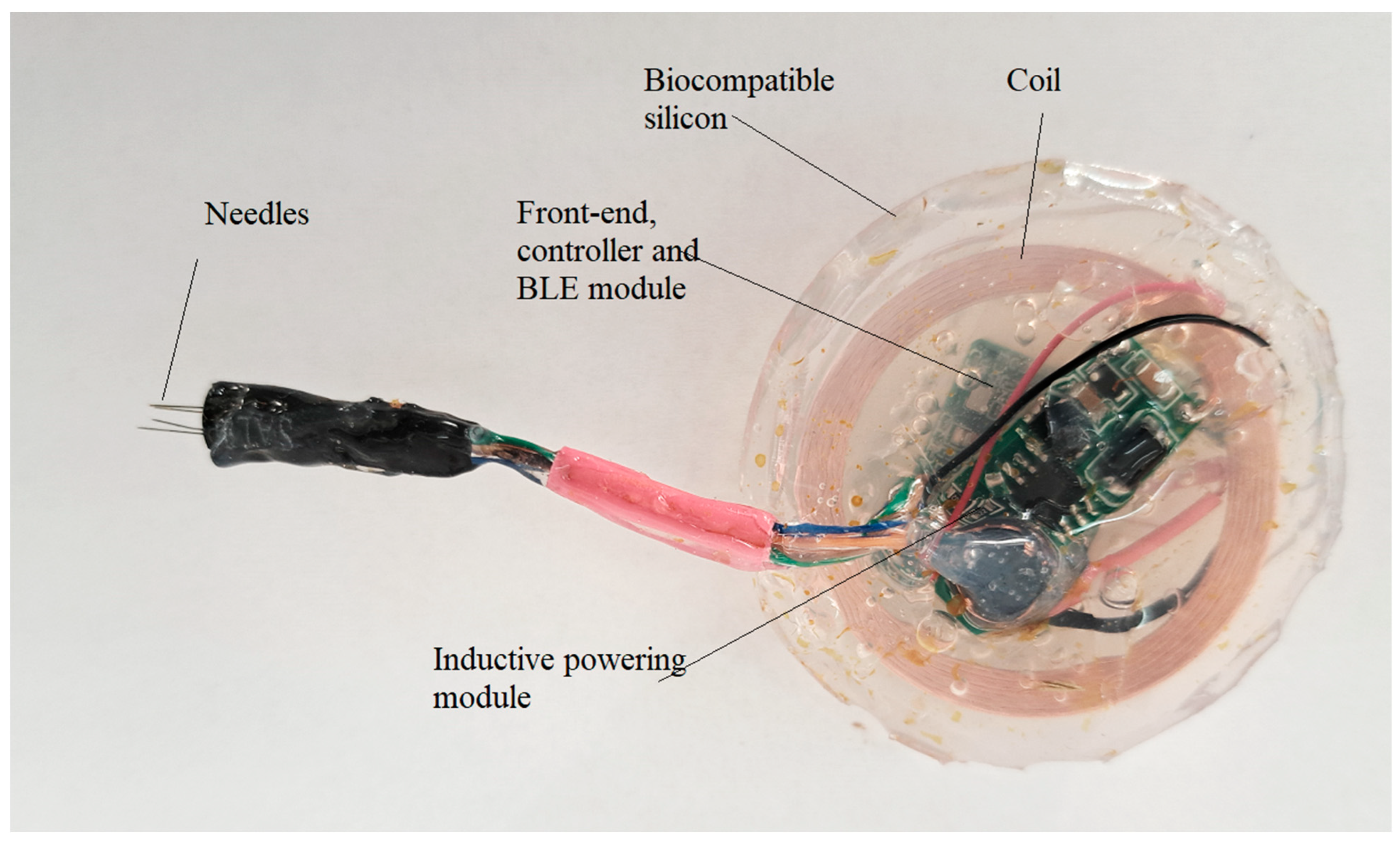 Biosensors 14 00031 g010