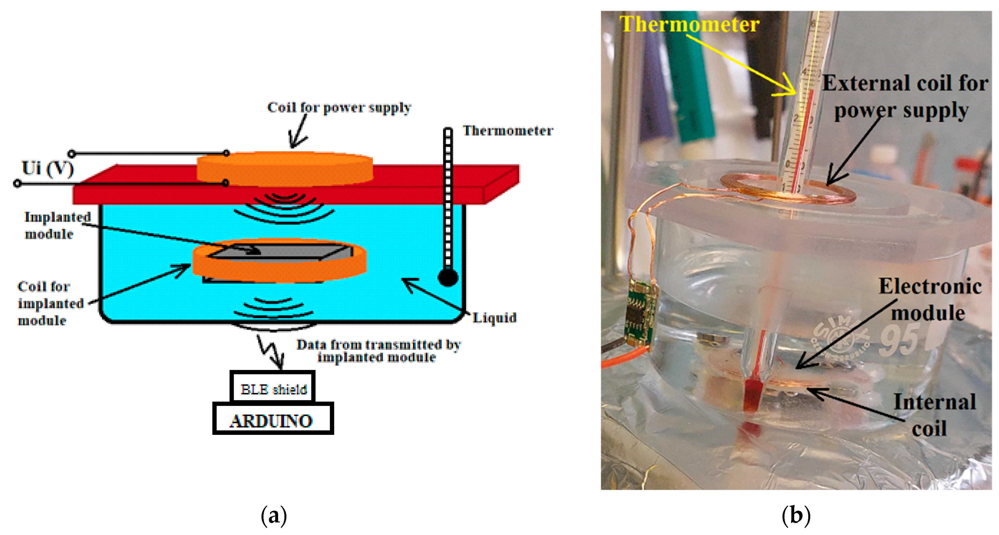 Biosensors 14 00031 g012