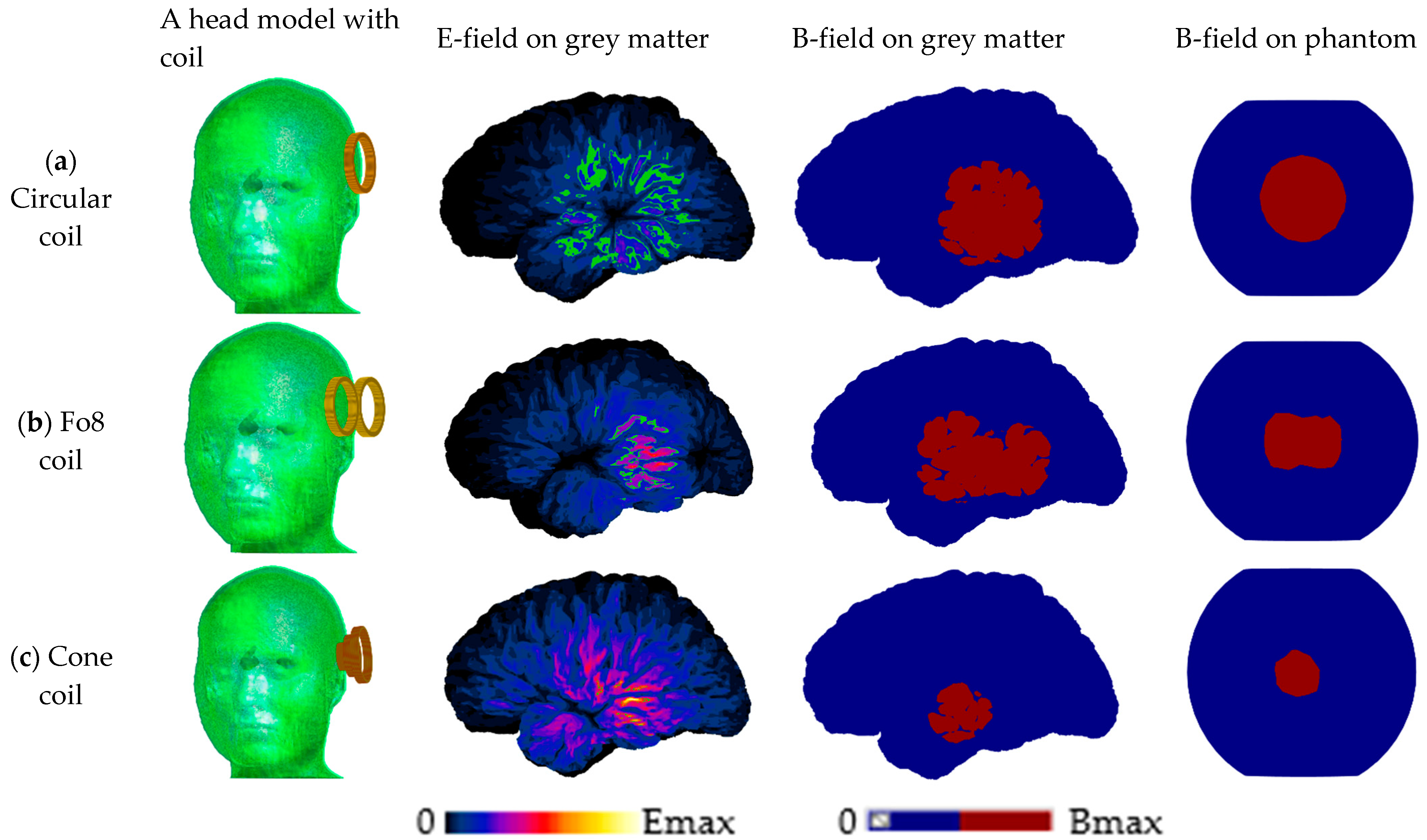 Biosensors 14 00032 g002