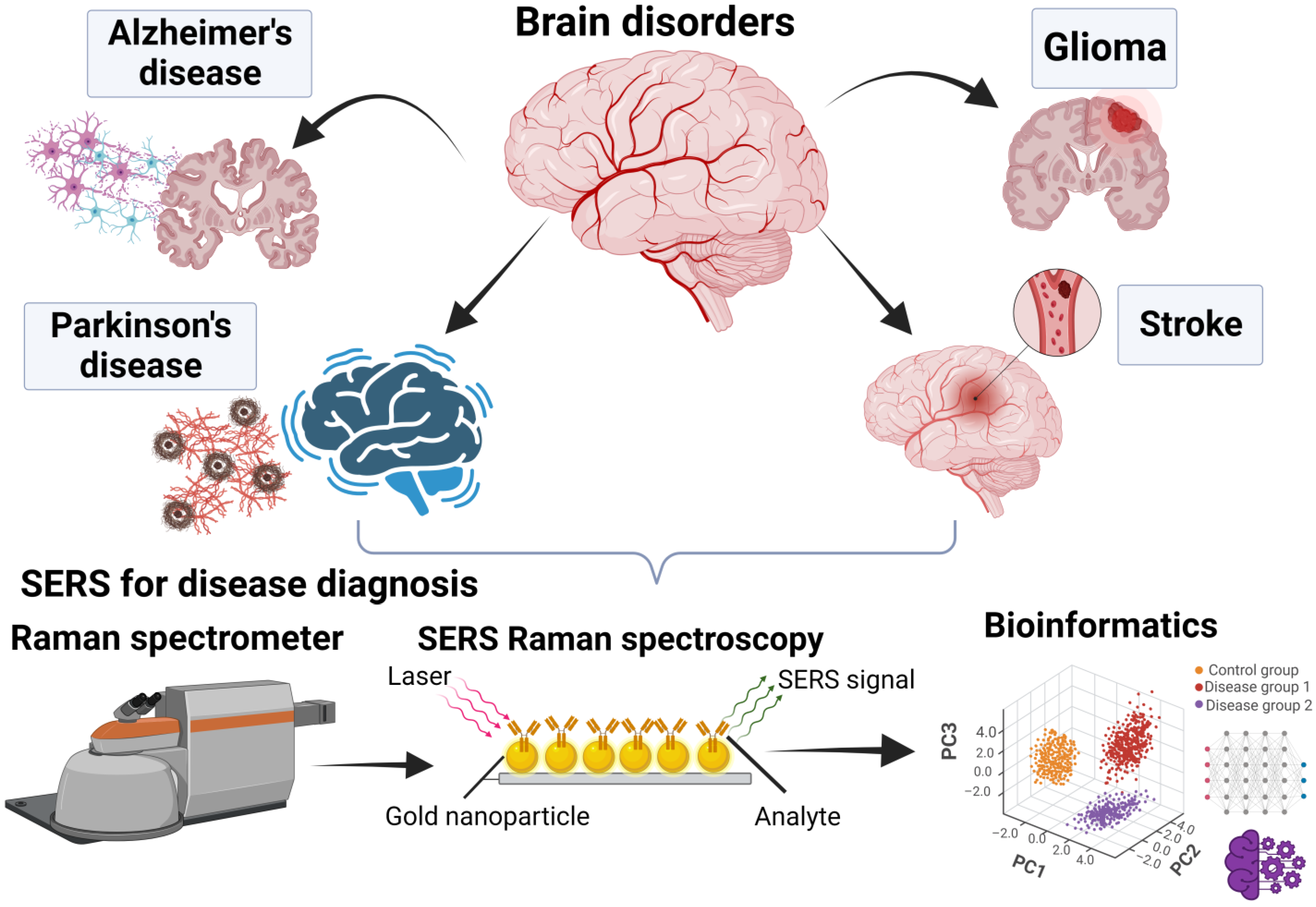 Biosensors 14 00033 g001