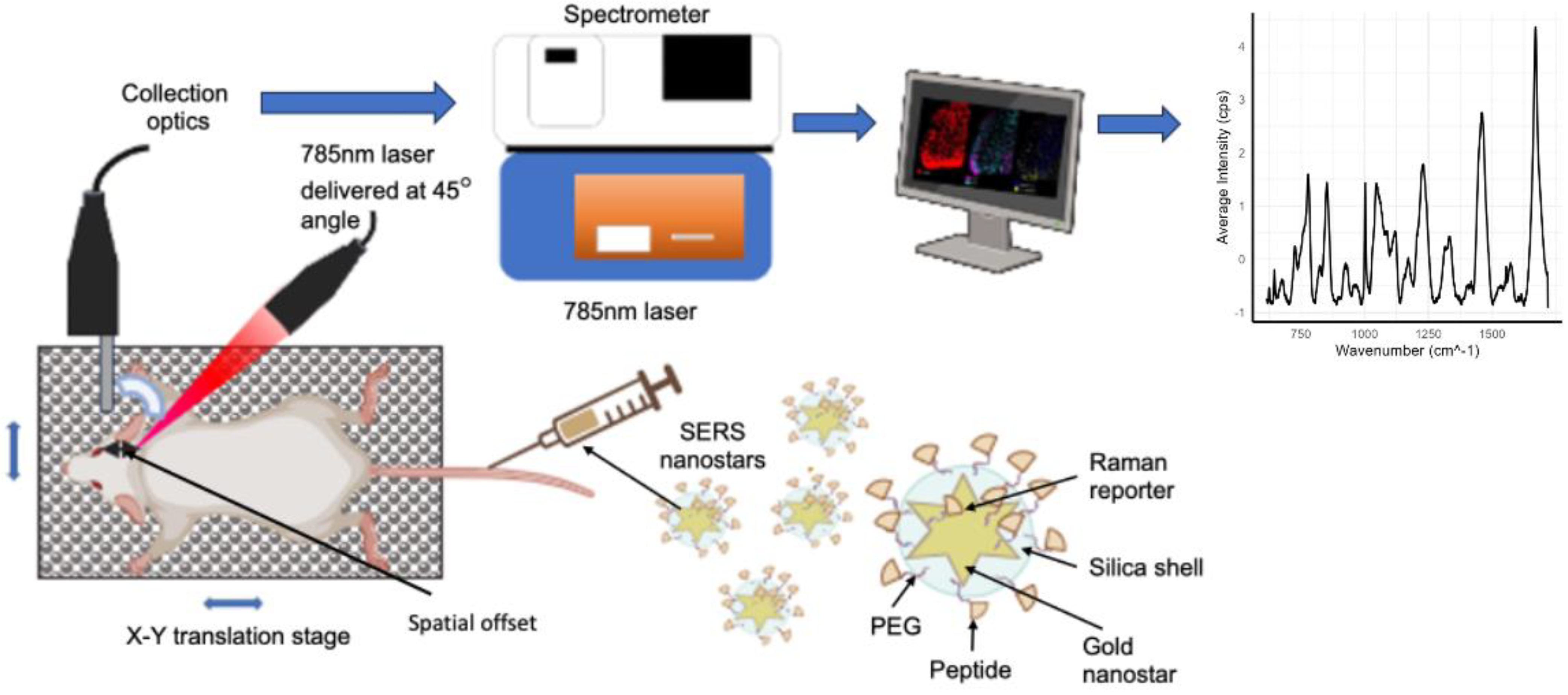 Biosensors 14 00033 g002