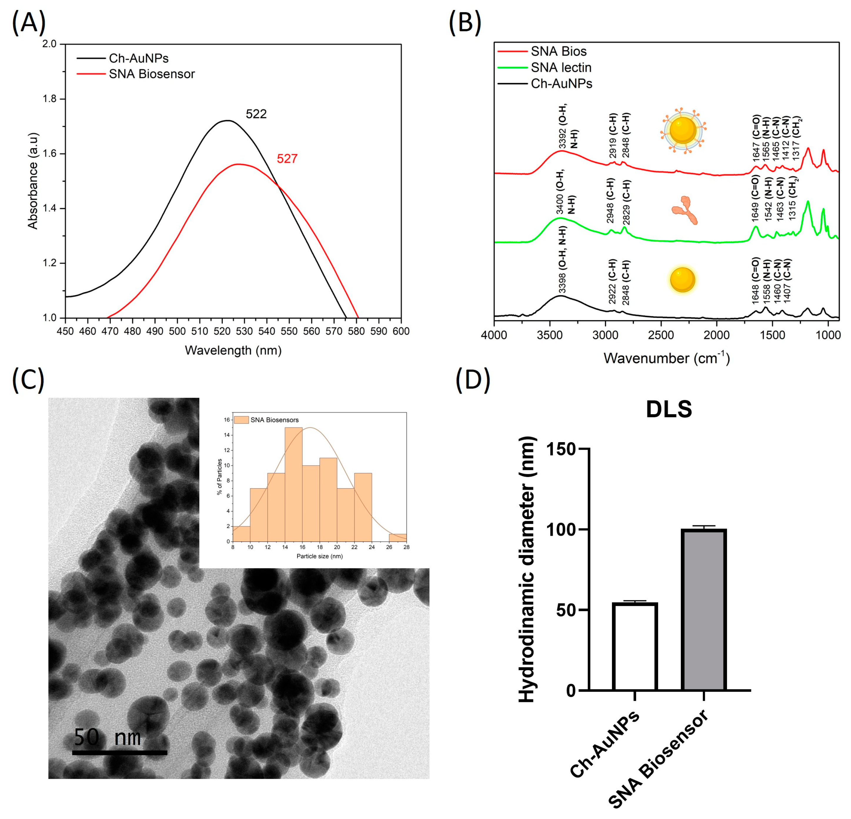 Biosensors 14 00034 g001