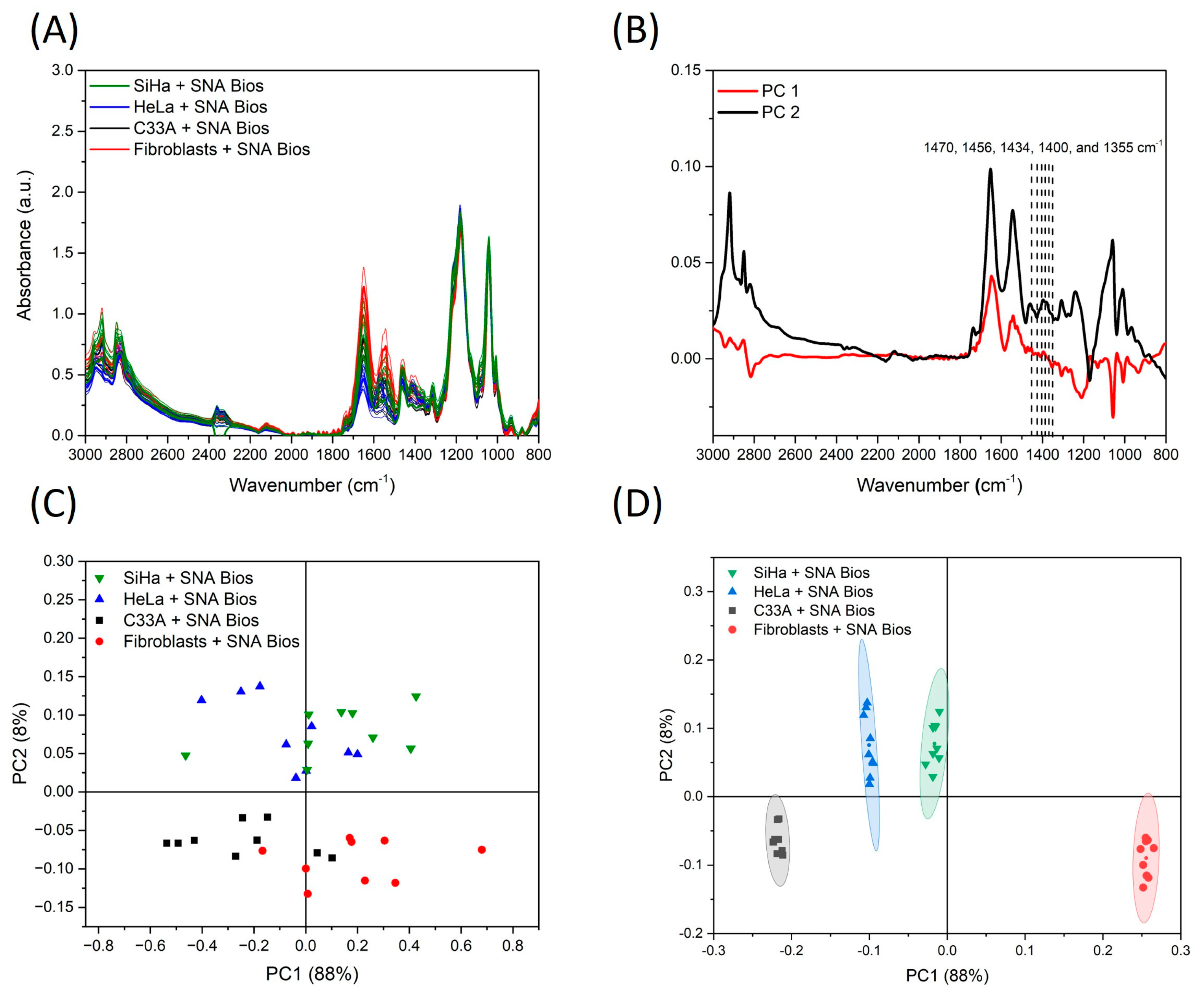 Biosensors 14 00034 g006