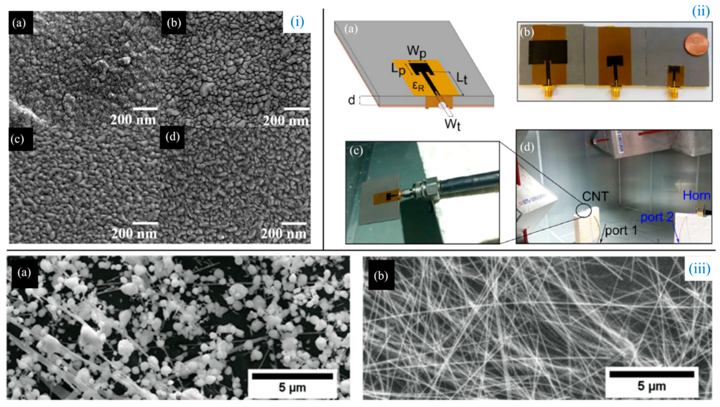 Biosensors 14 00035 g003