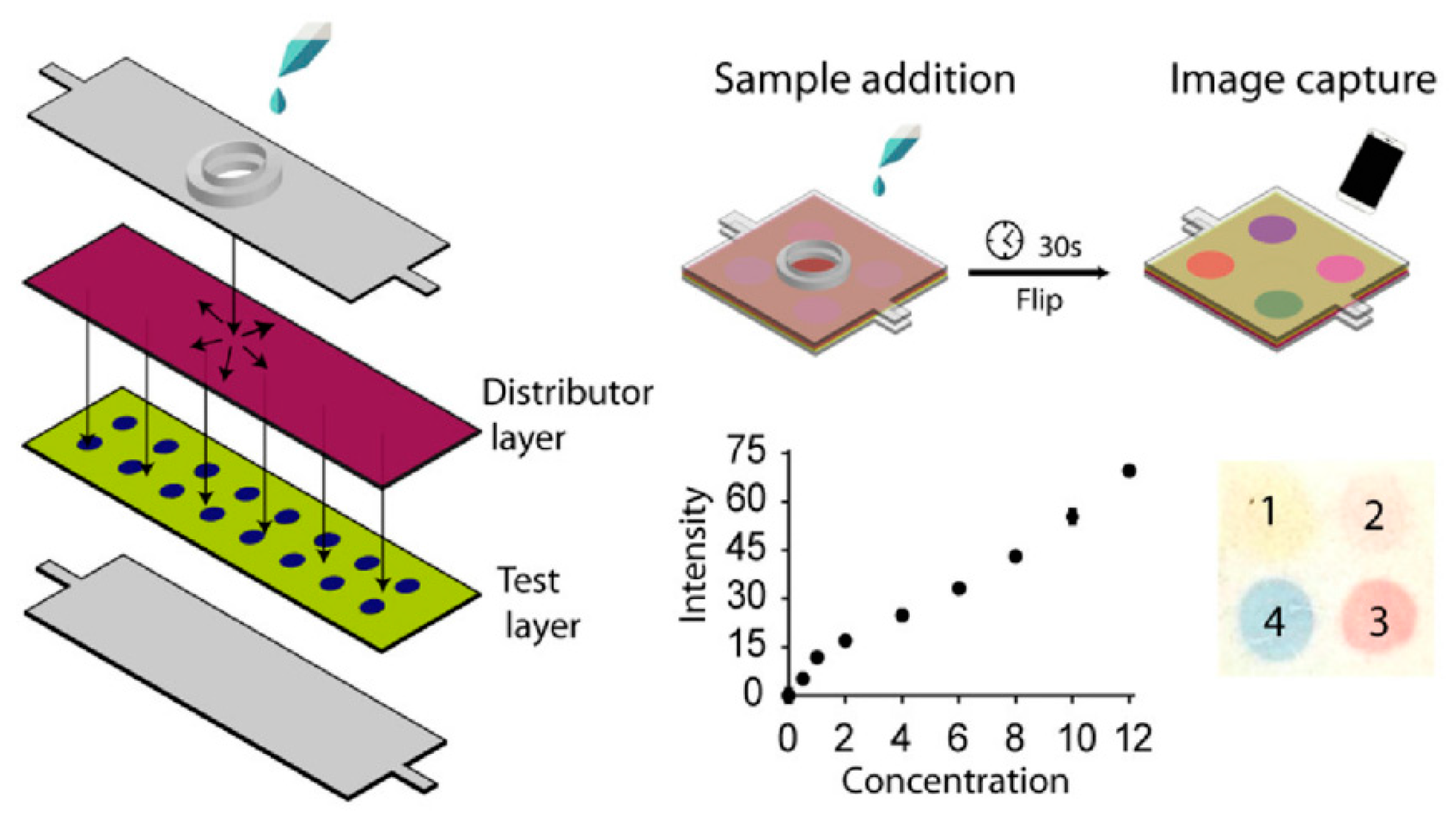 Biosensors 14 00036 g004