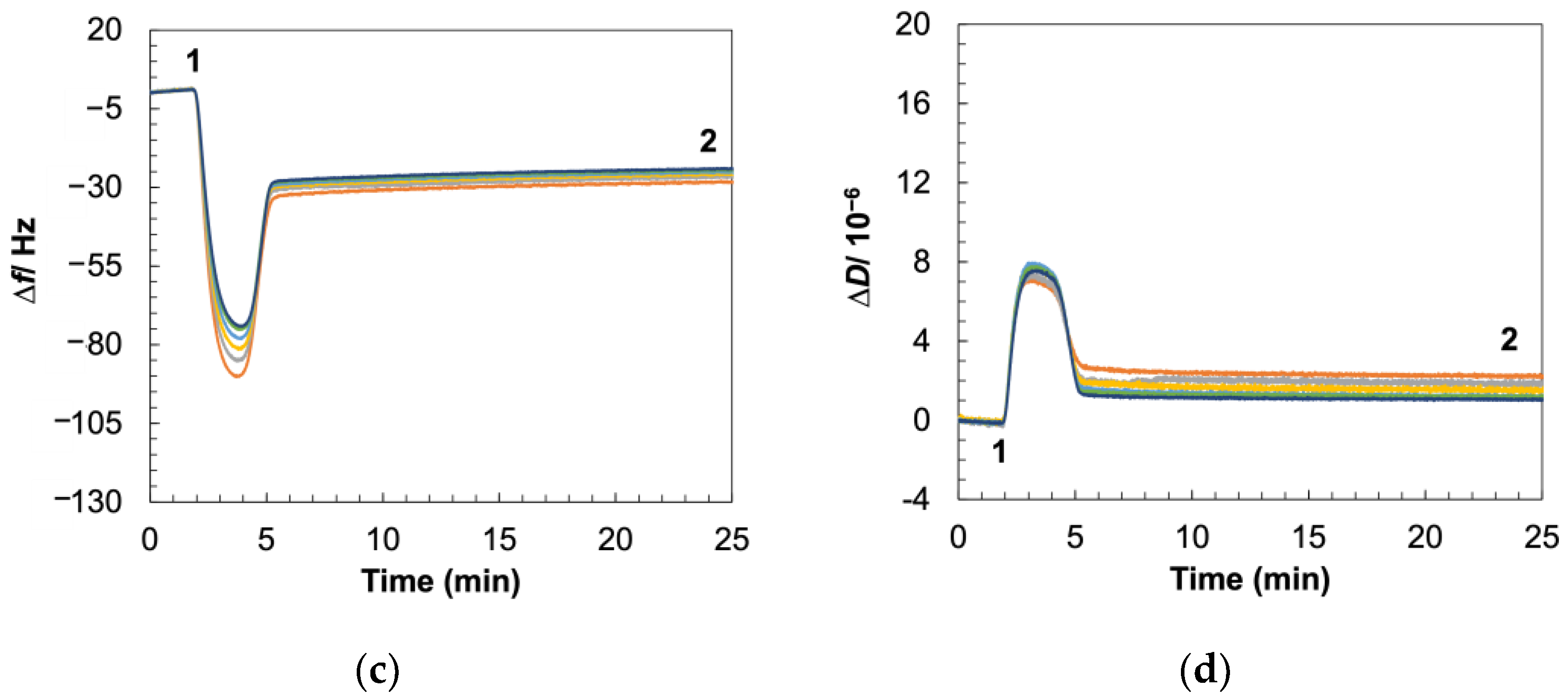 Biosensors 14 00045 g002b