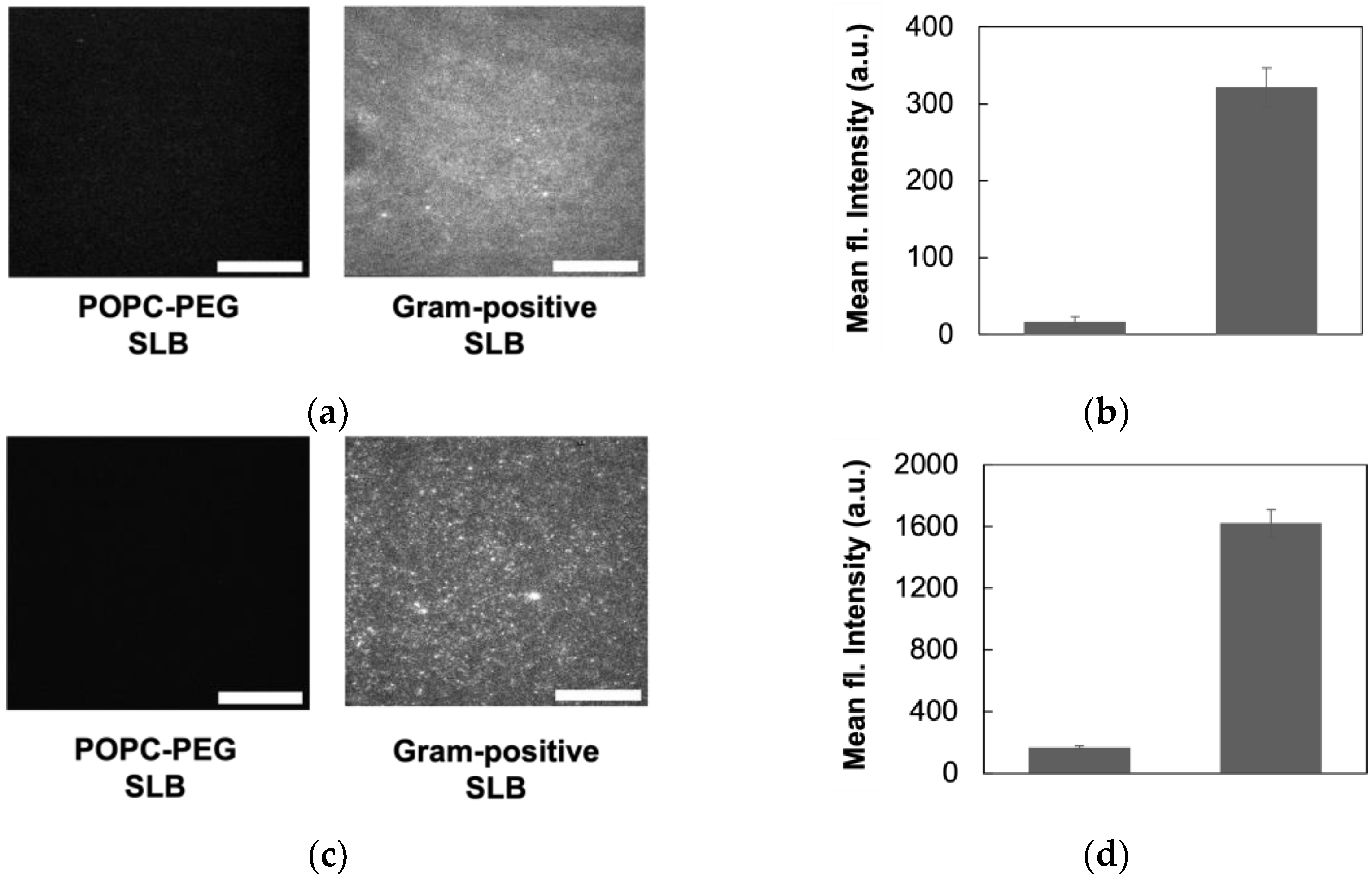 Biosensors 14 00045 g003