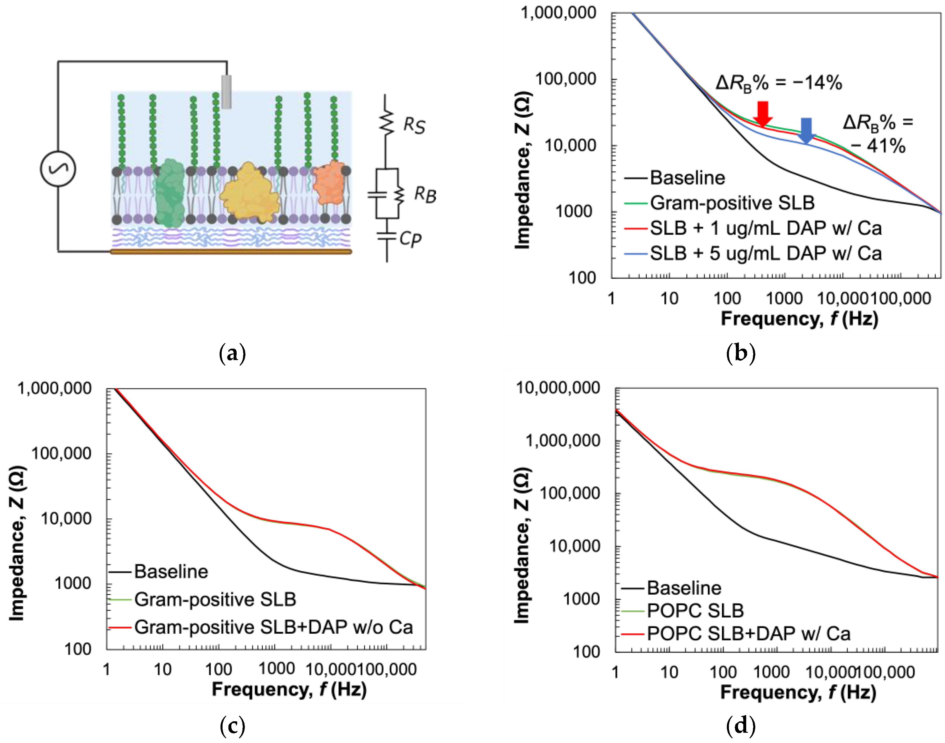 Biosensors 14 00045 g005