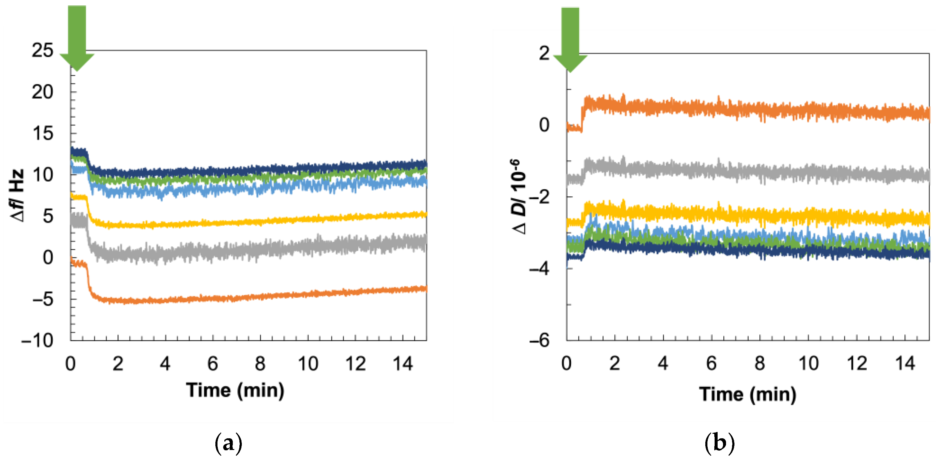 Biosensors 14 00045 g006