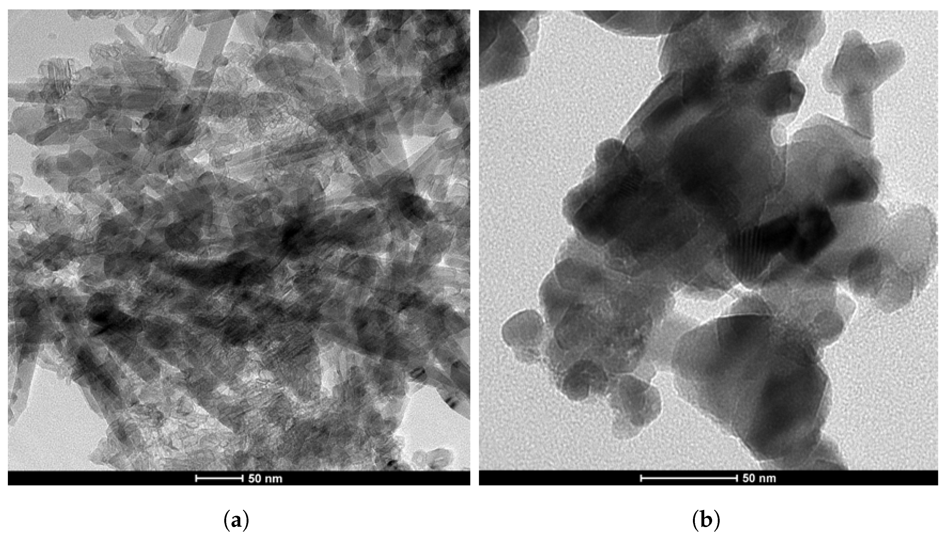 Biosensors 14 00048 g003