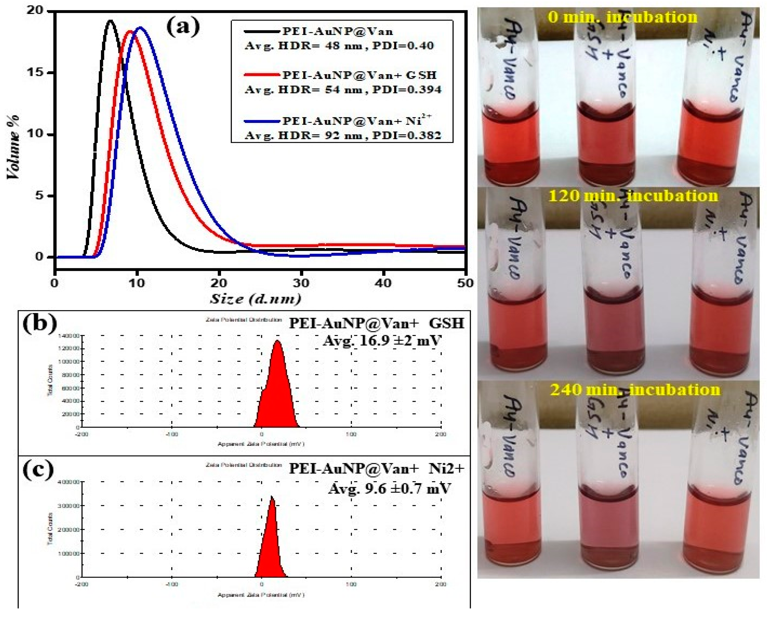 Biosensors 14 00049 g005