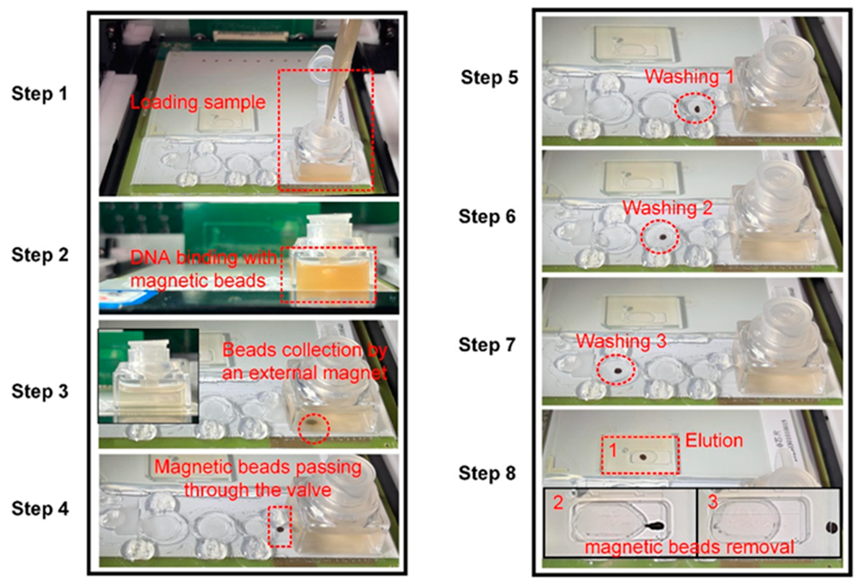 Biosensors 14 00050 g004