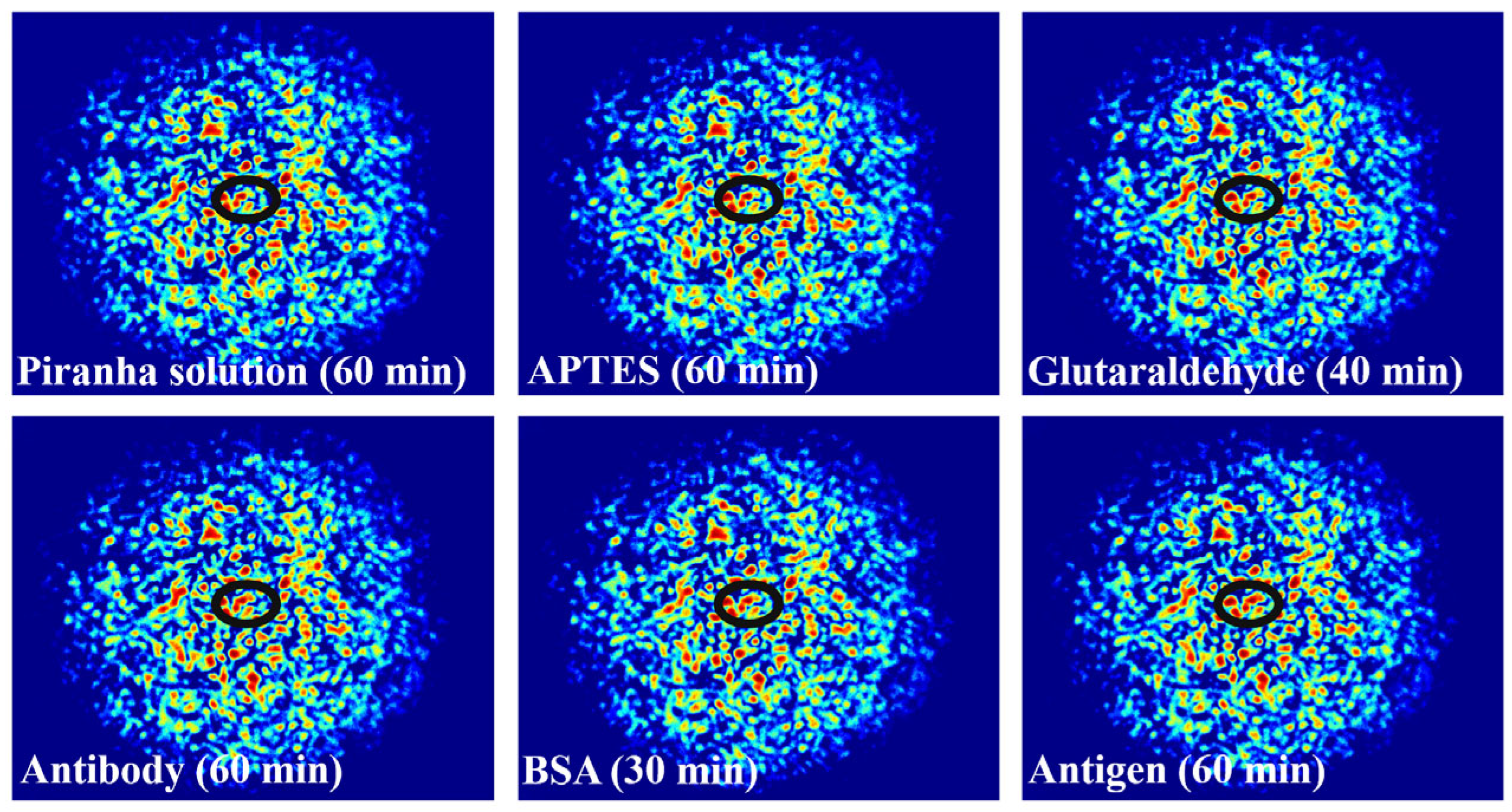 Biosensors 14 00057 g007