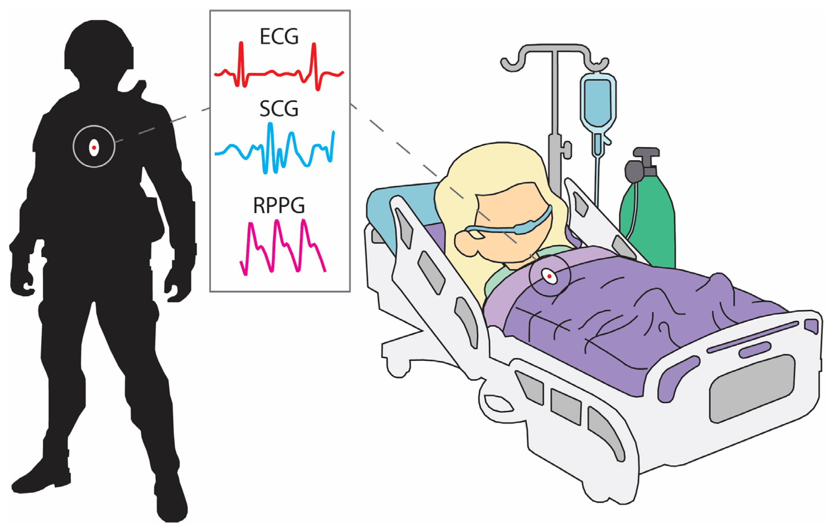 Biosensors 14 00061 g001 Biosensors 14 00061 g001