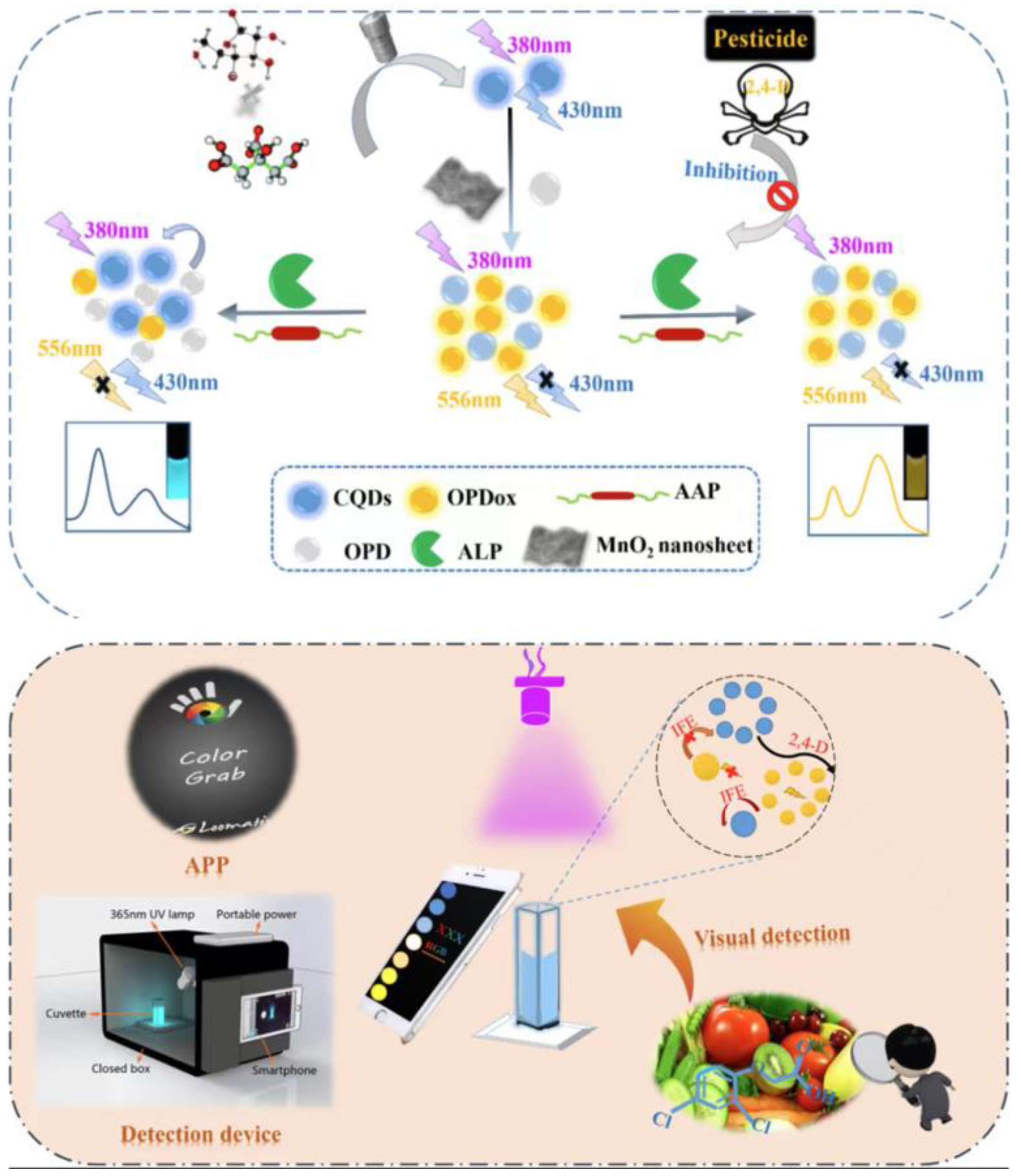 Biosensors 14 00063 sch001