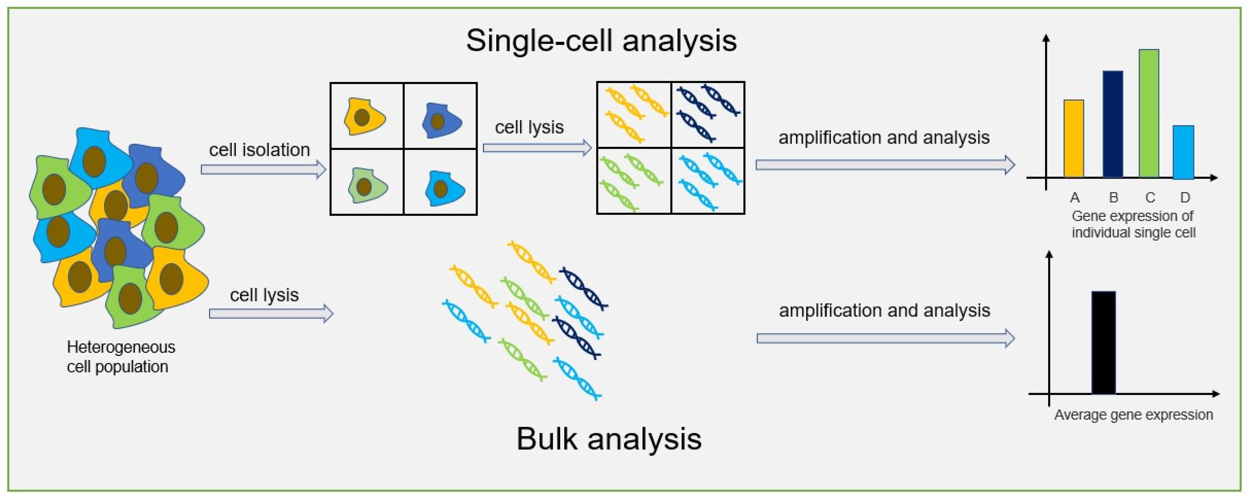 Biosensors 14 00064 g001