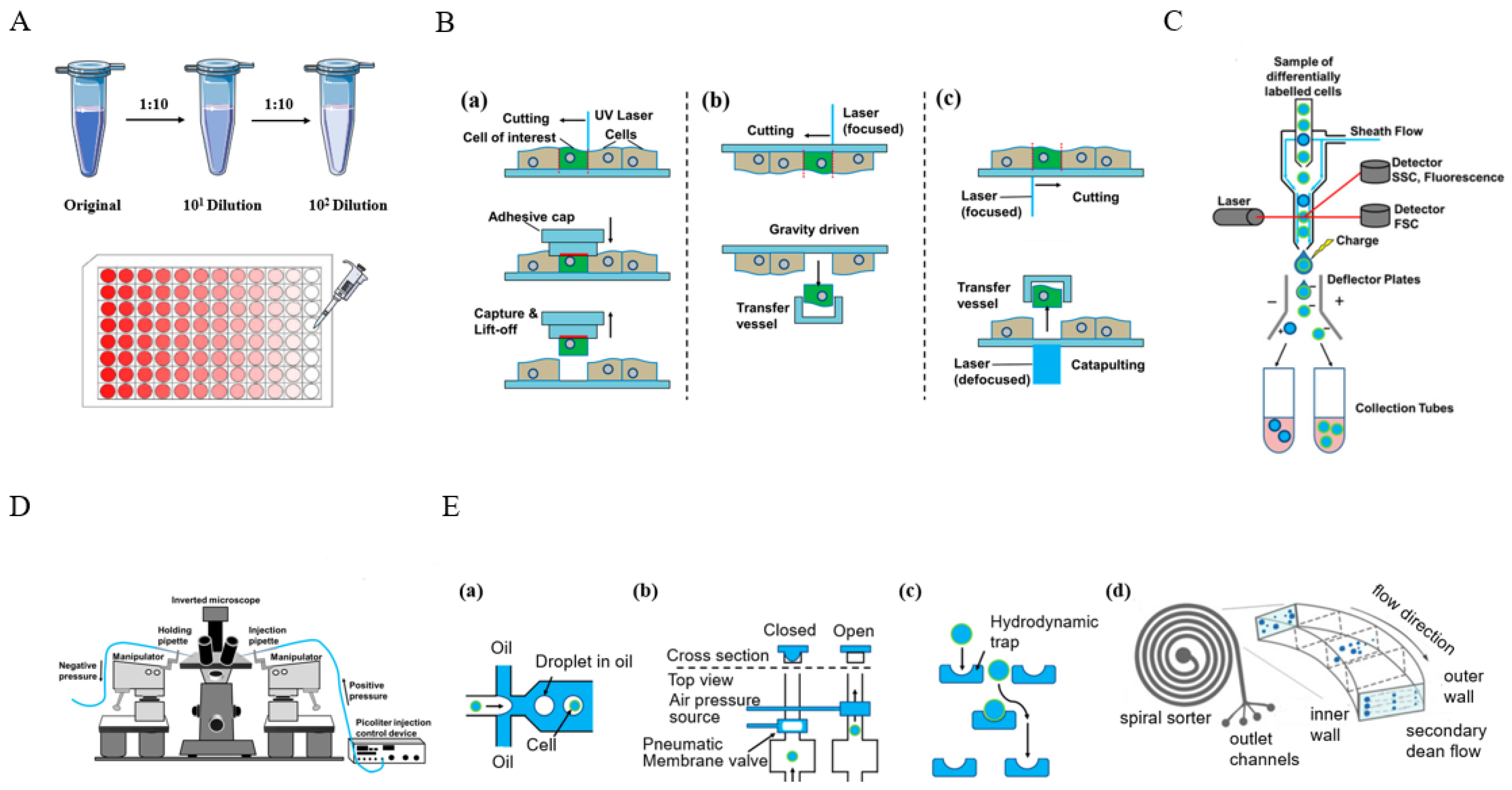 Biosensors 14 00064 g002