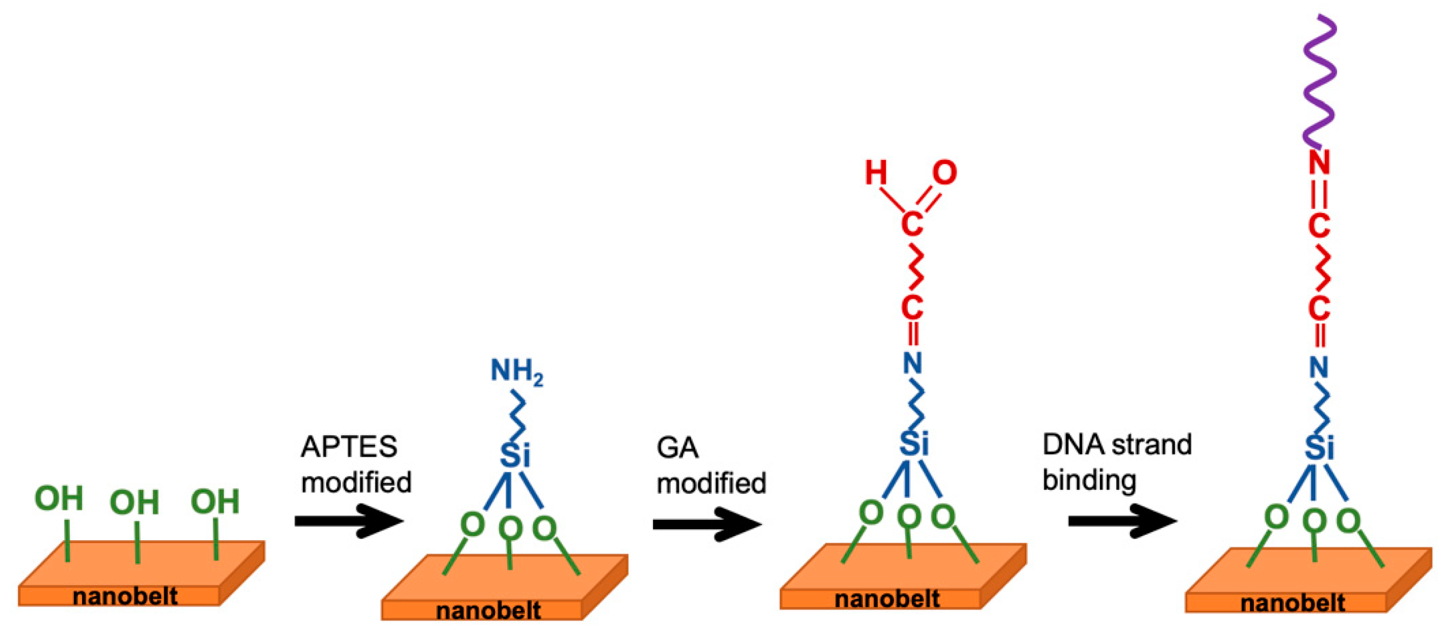 Biosensors 14 00065 g002