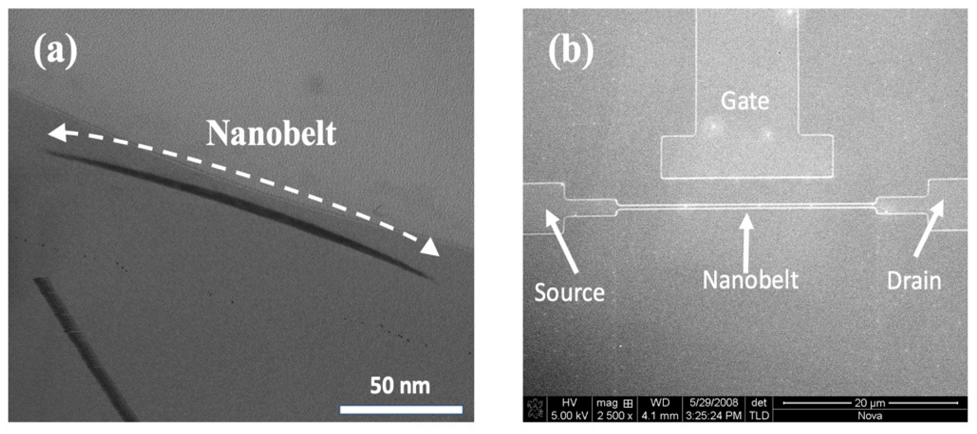 Biosensors 14 00065 g003