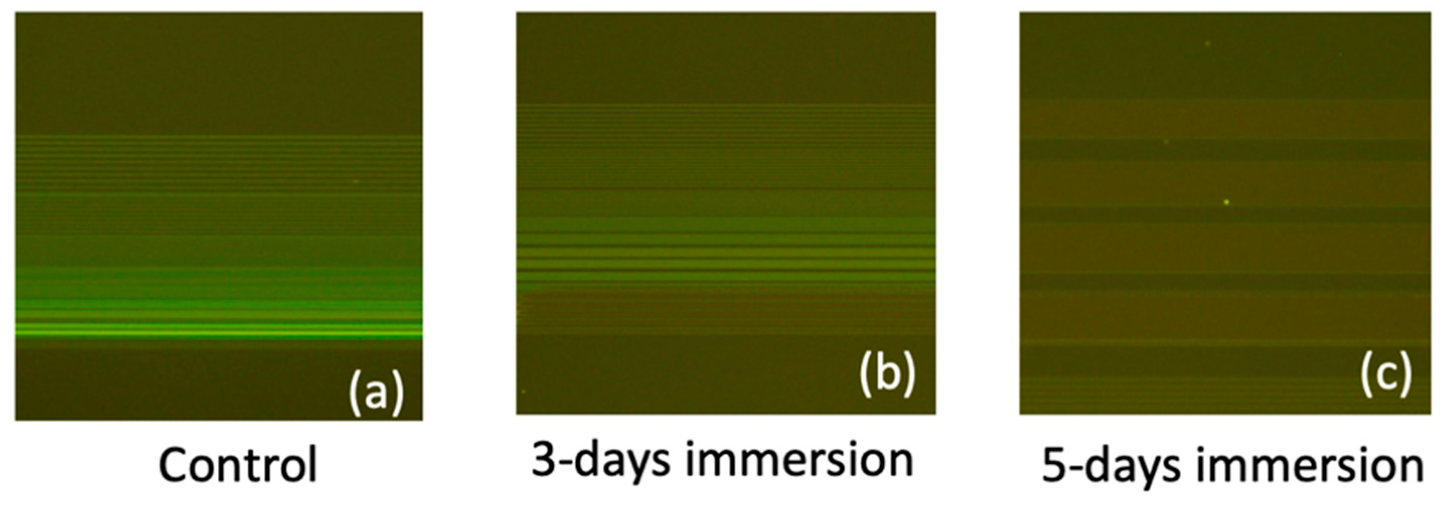 Biosensors 14 00065 g010