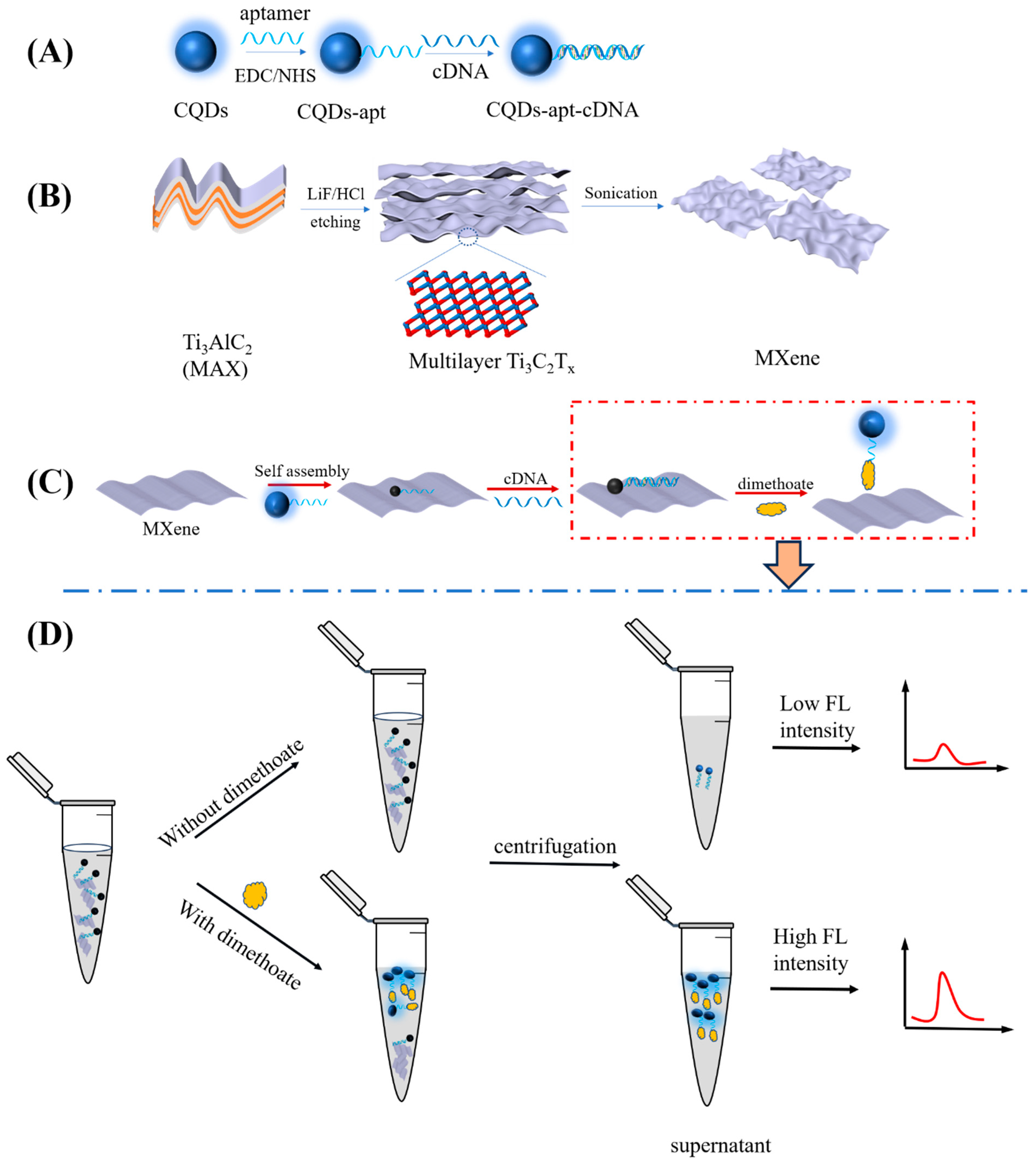 Biosensors 14 00069 sch001