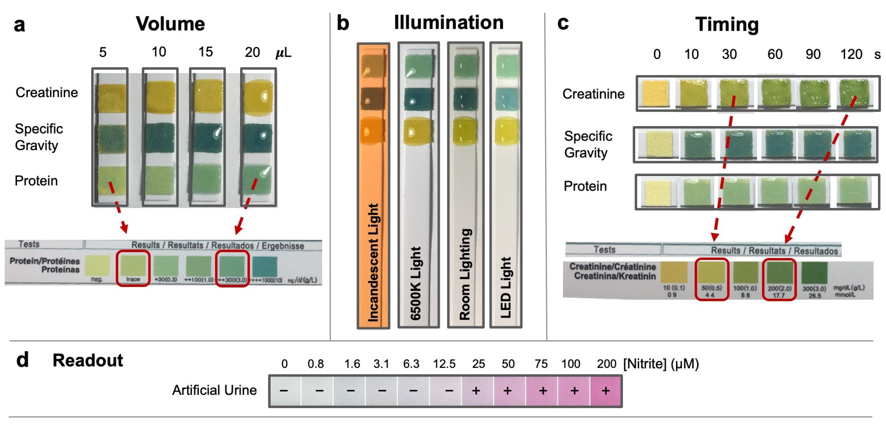 Biosensors 14 00070 g001