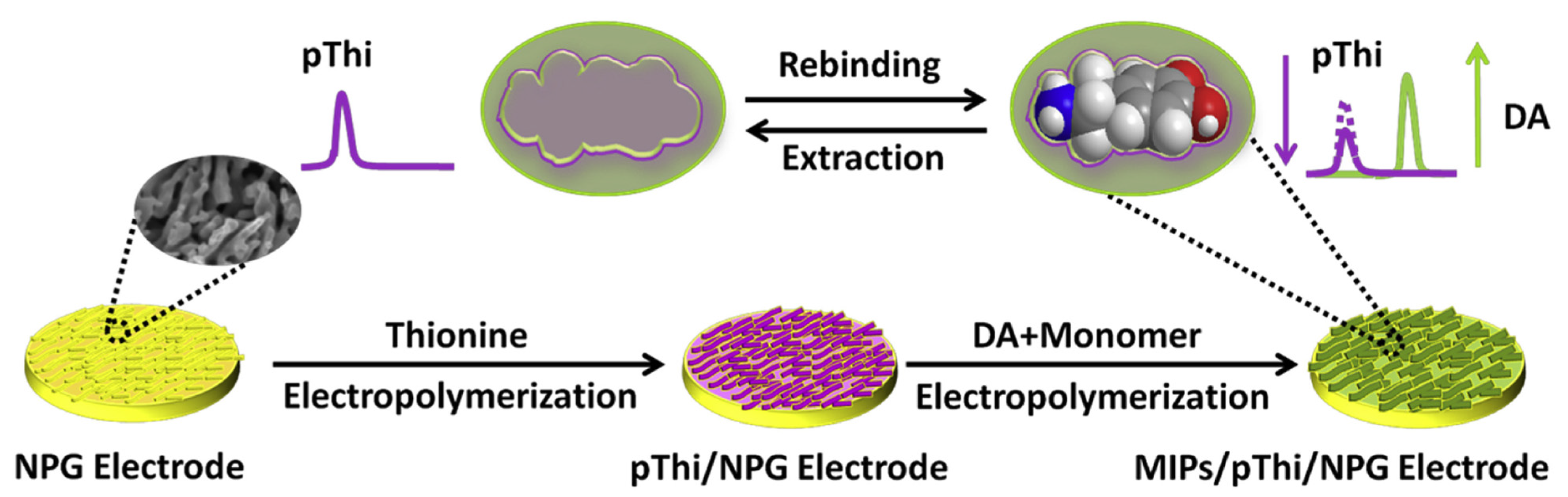 Biosensors 14 00071 g006