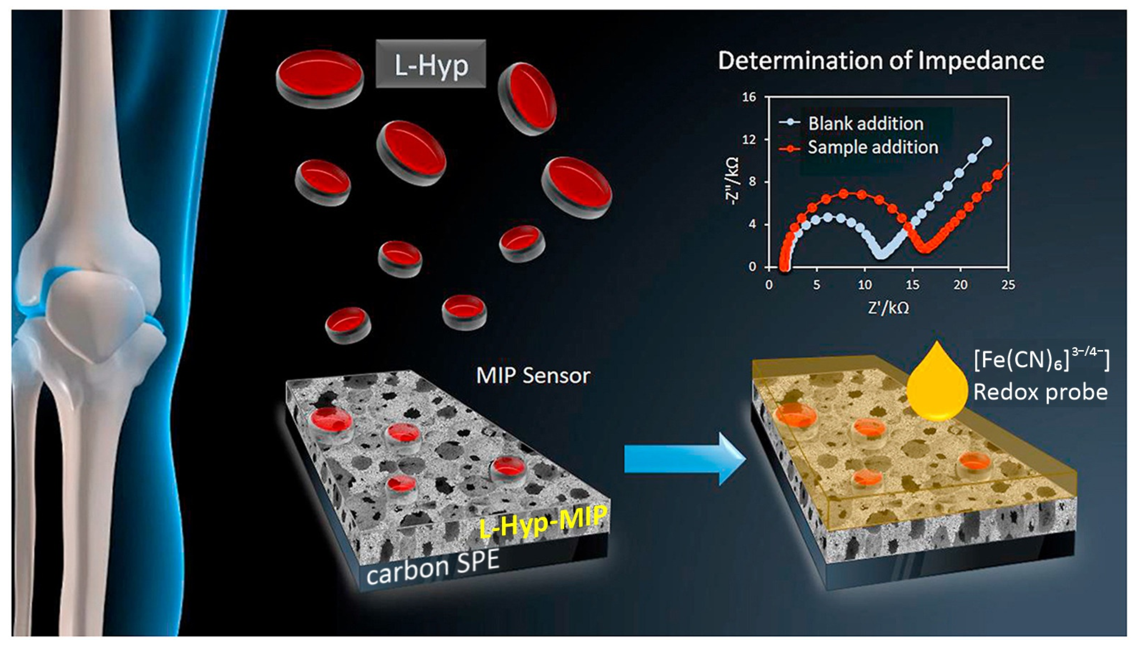 Biosensors 14 00071 g009