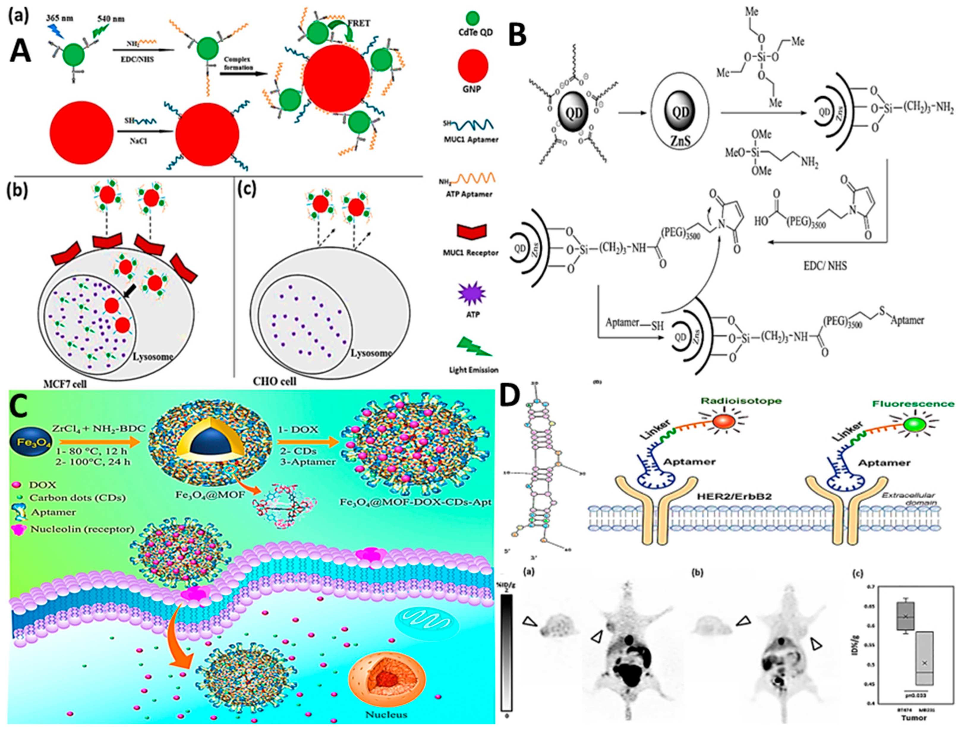 Biosensors 14 00078 g001
