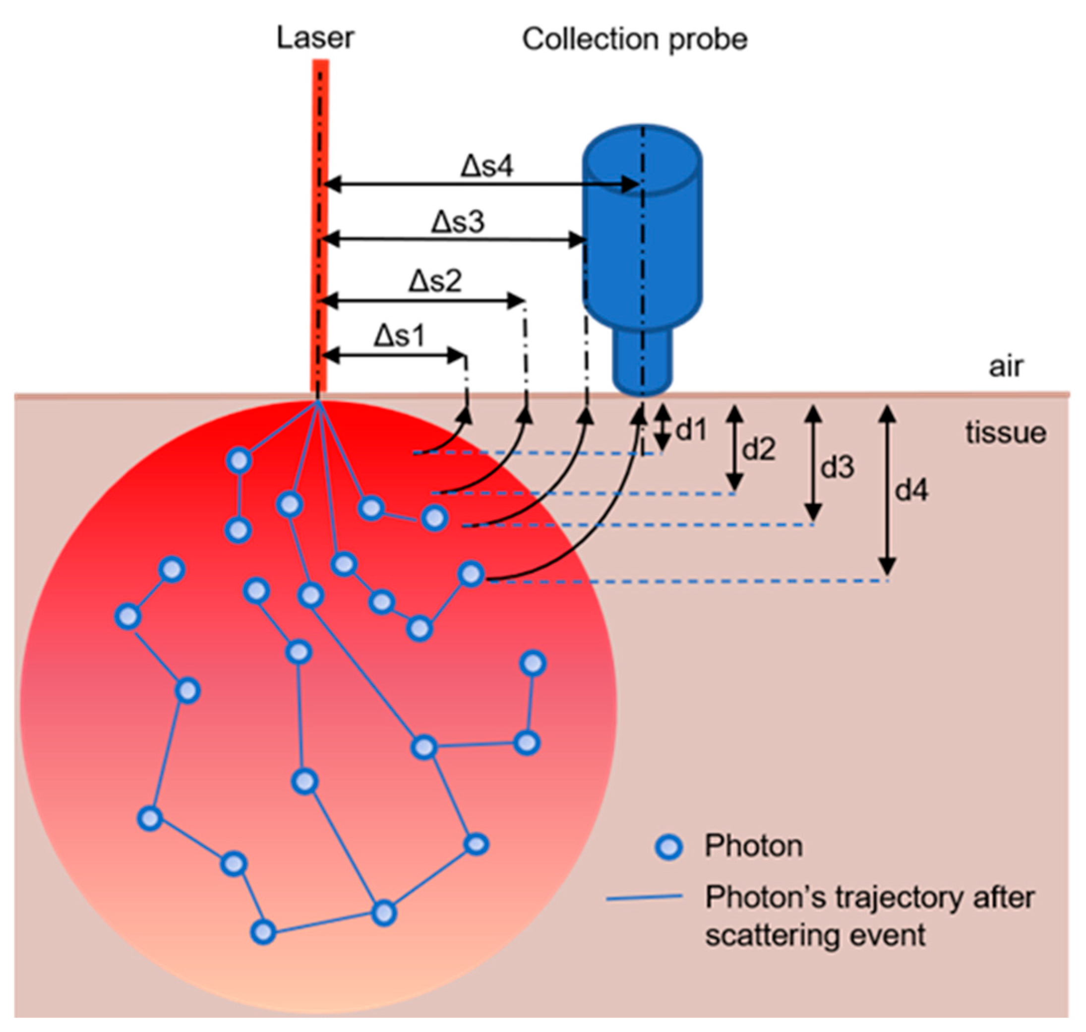 Biosensors 14 00081 g001