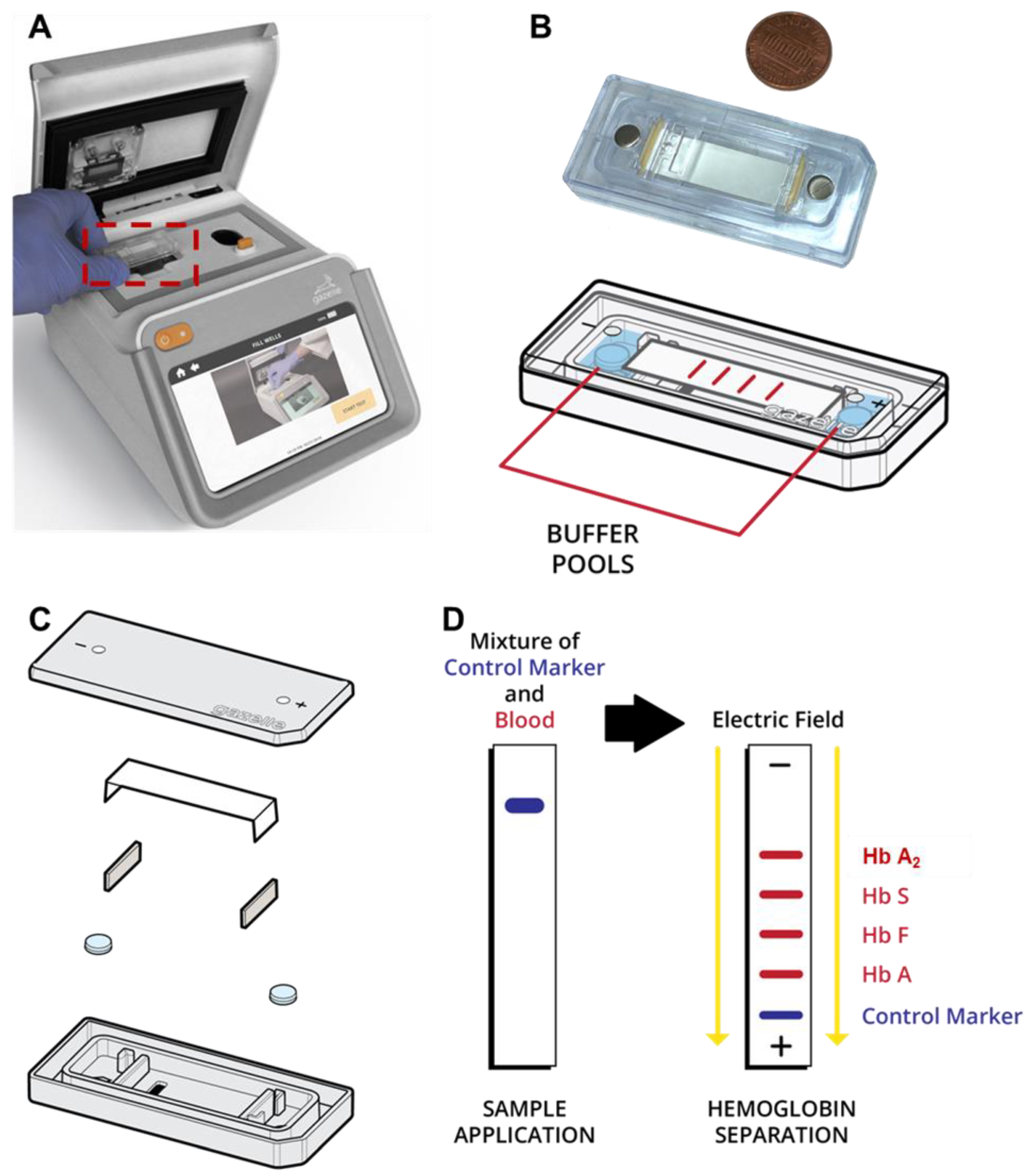 Biosensors 14 00083 g001