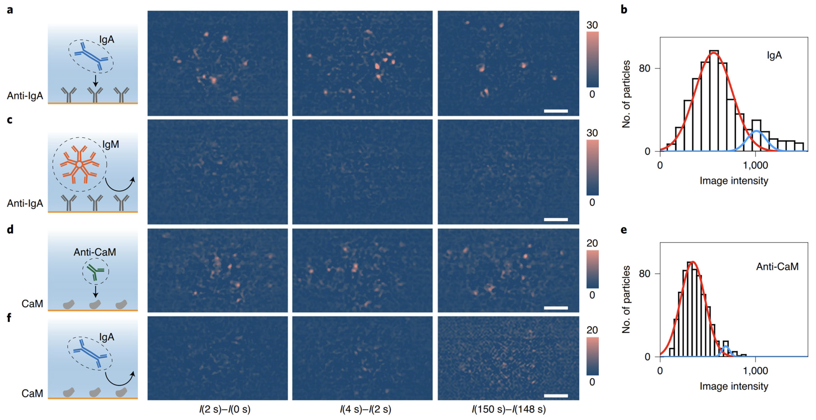 Biosensors 14 00084 g003