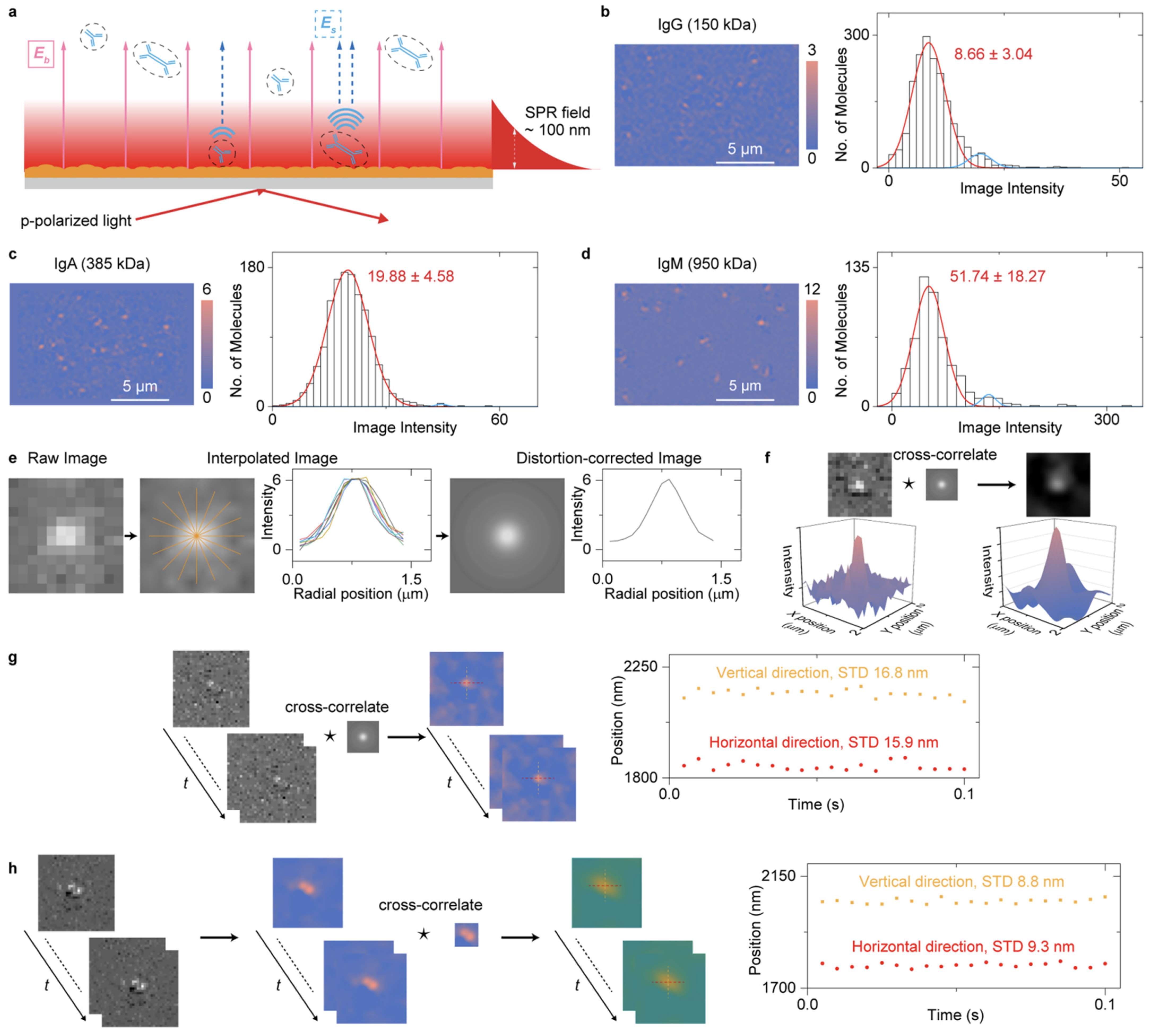 Biosensors 14 00084 g006