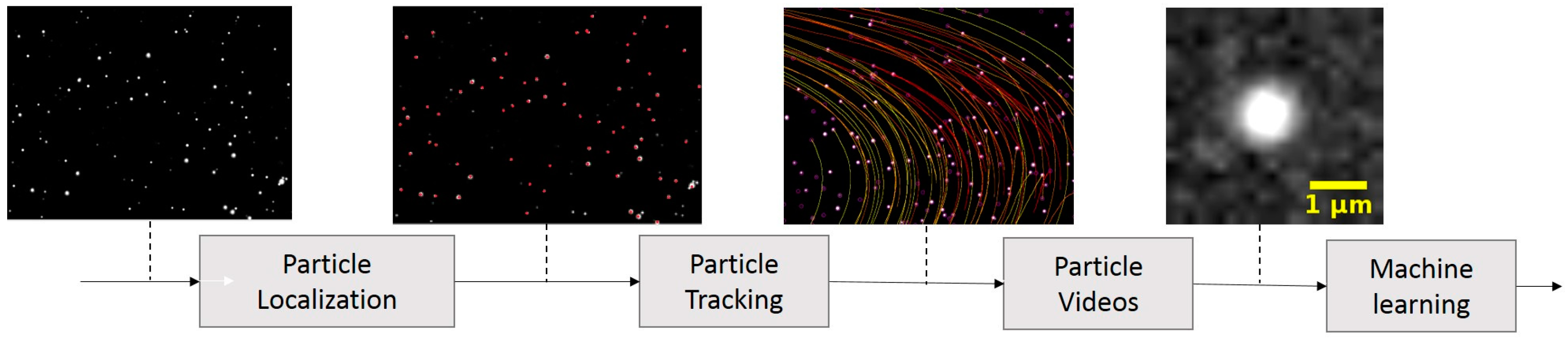 Biosensors 14 00089 g002