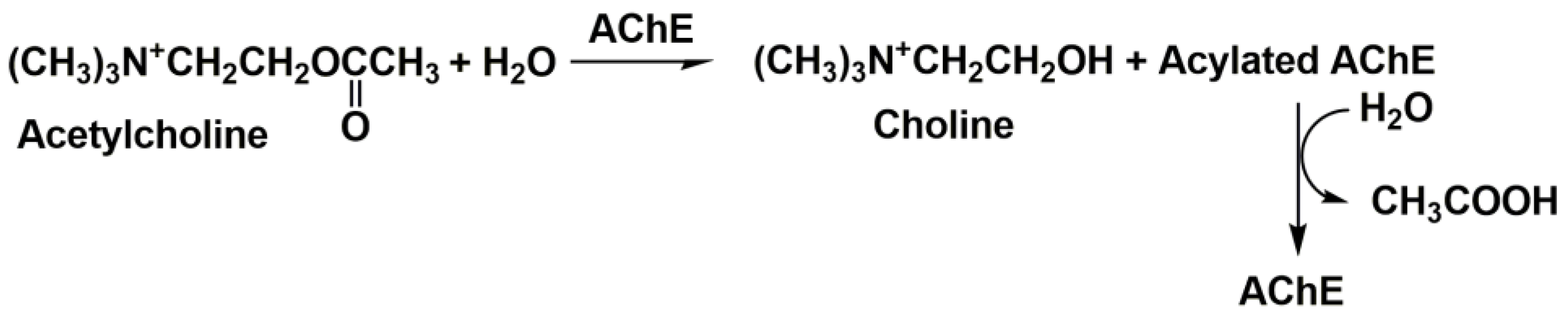 Biosensors 14 00093 g001