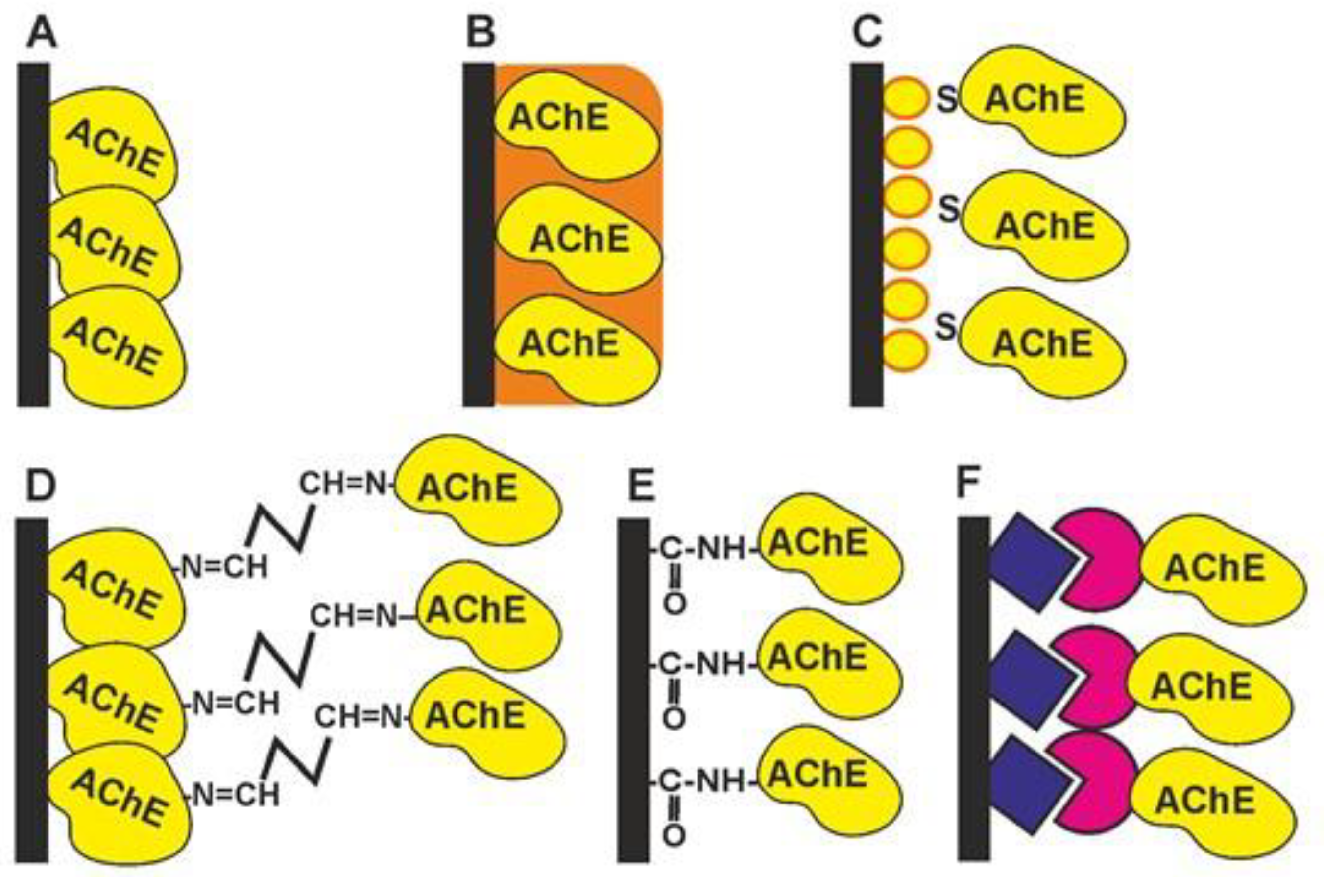 Biosensors 14 00093 g004