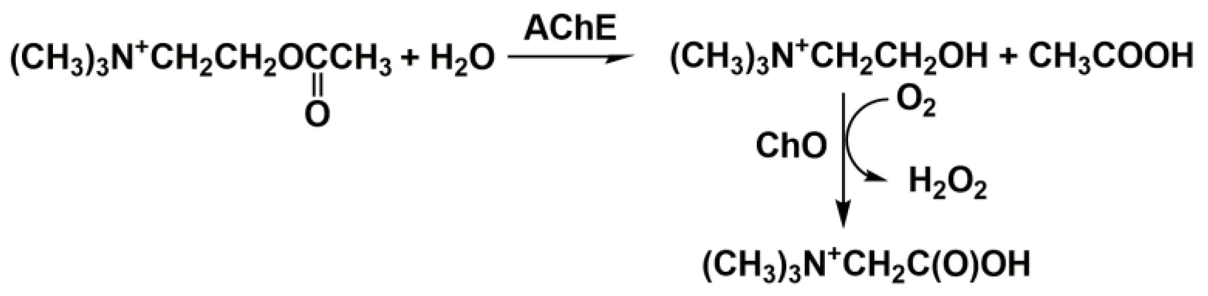 Biosensors 14 00093 g007