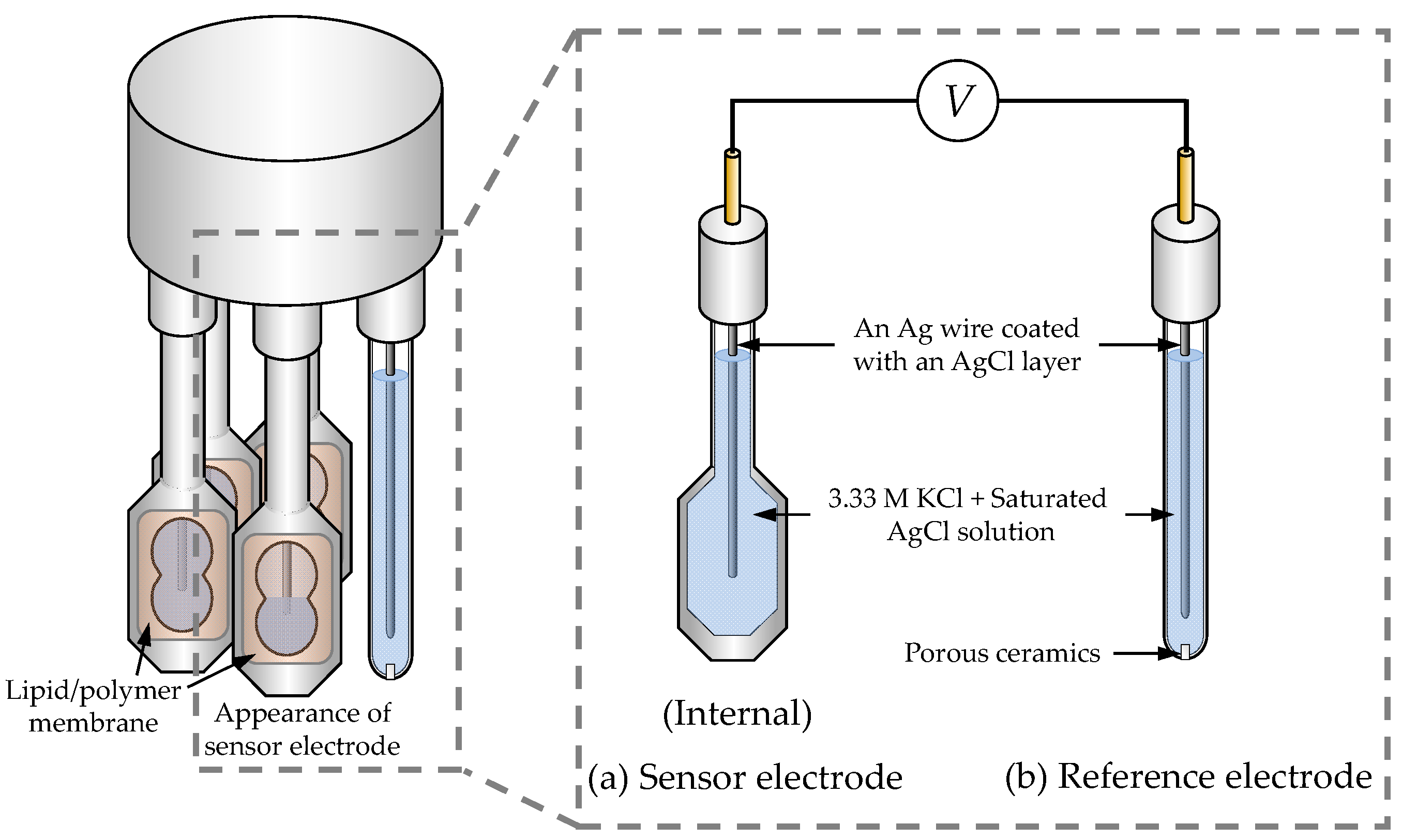 Biosensors 14 00095 g002 Biosensors 14 00095 g002