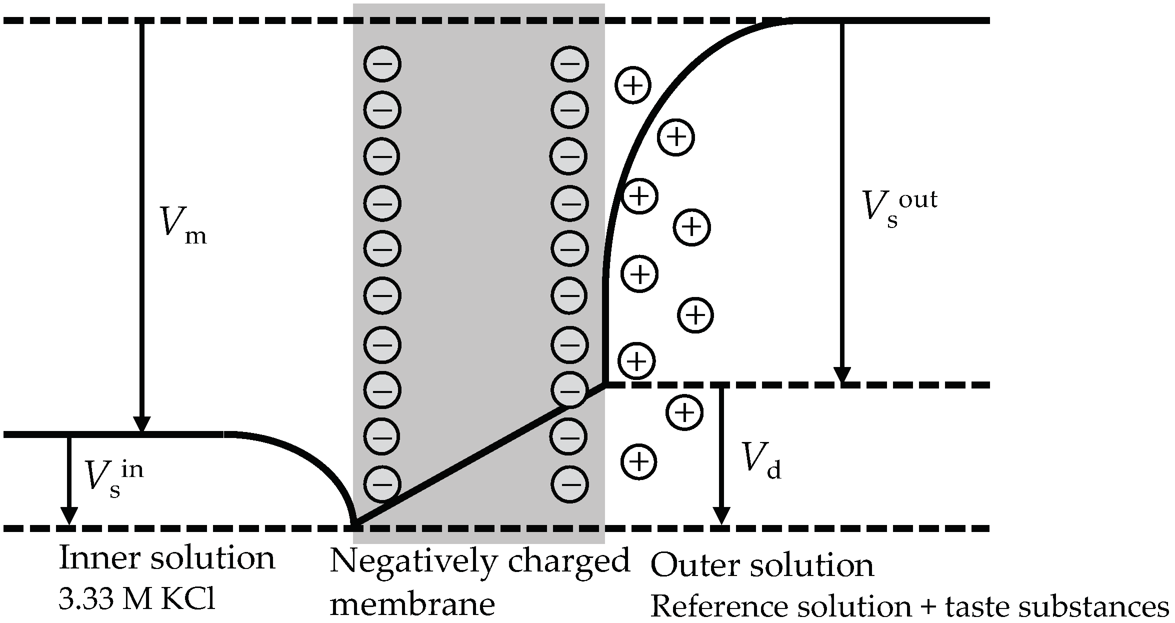 Biosensors 14 00095 g004 Biosensors 14 00095 g004