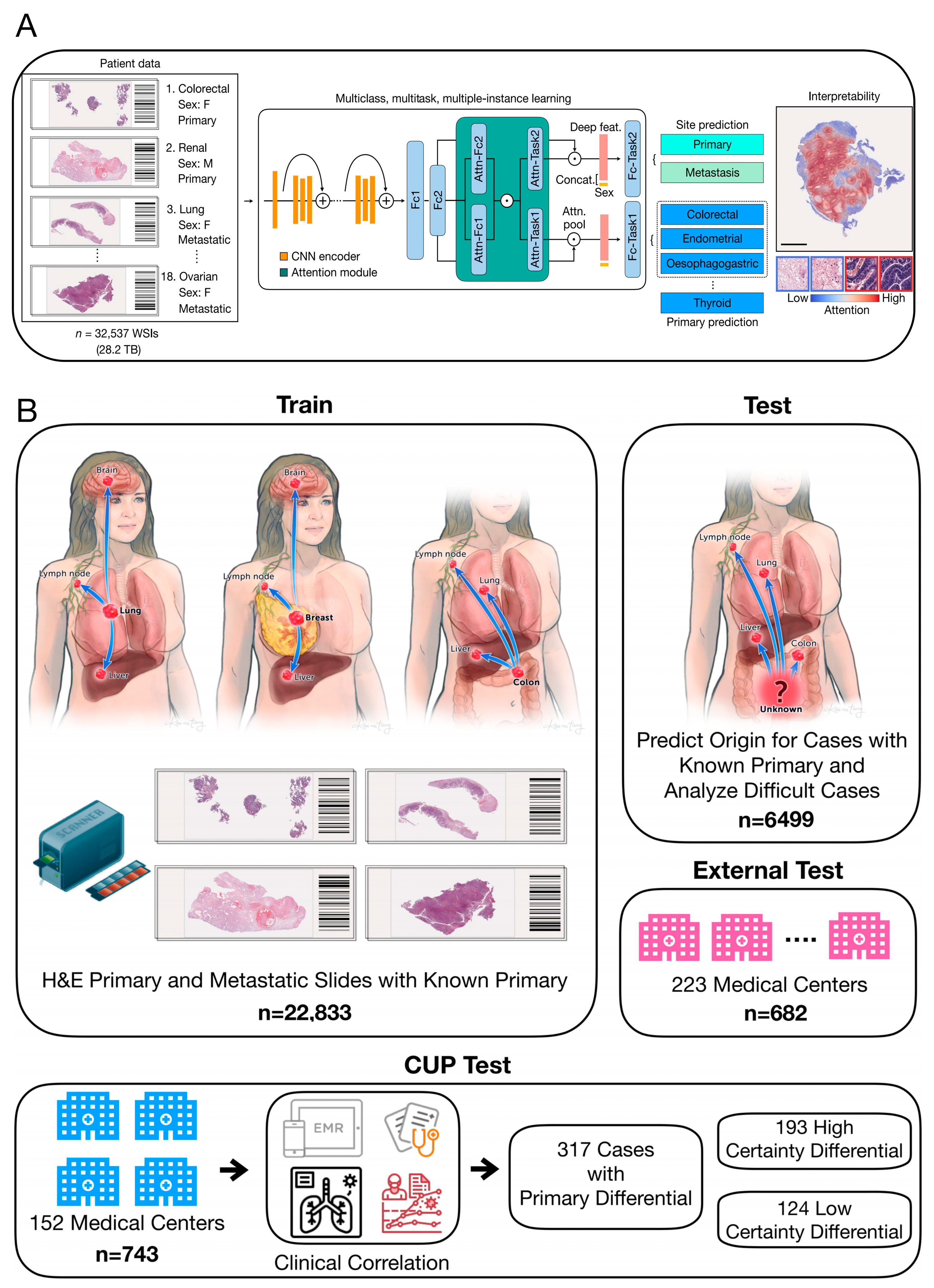 Biosensors 14 00100 g005